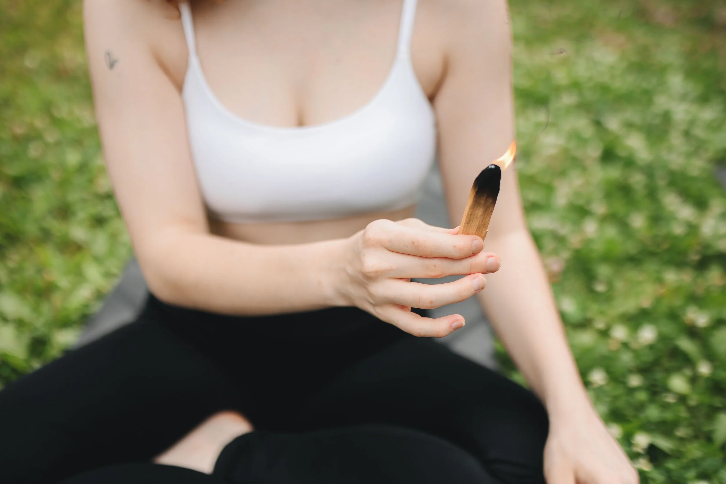 pexels-polina-tankilevitch-8539101.jpg