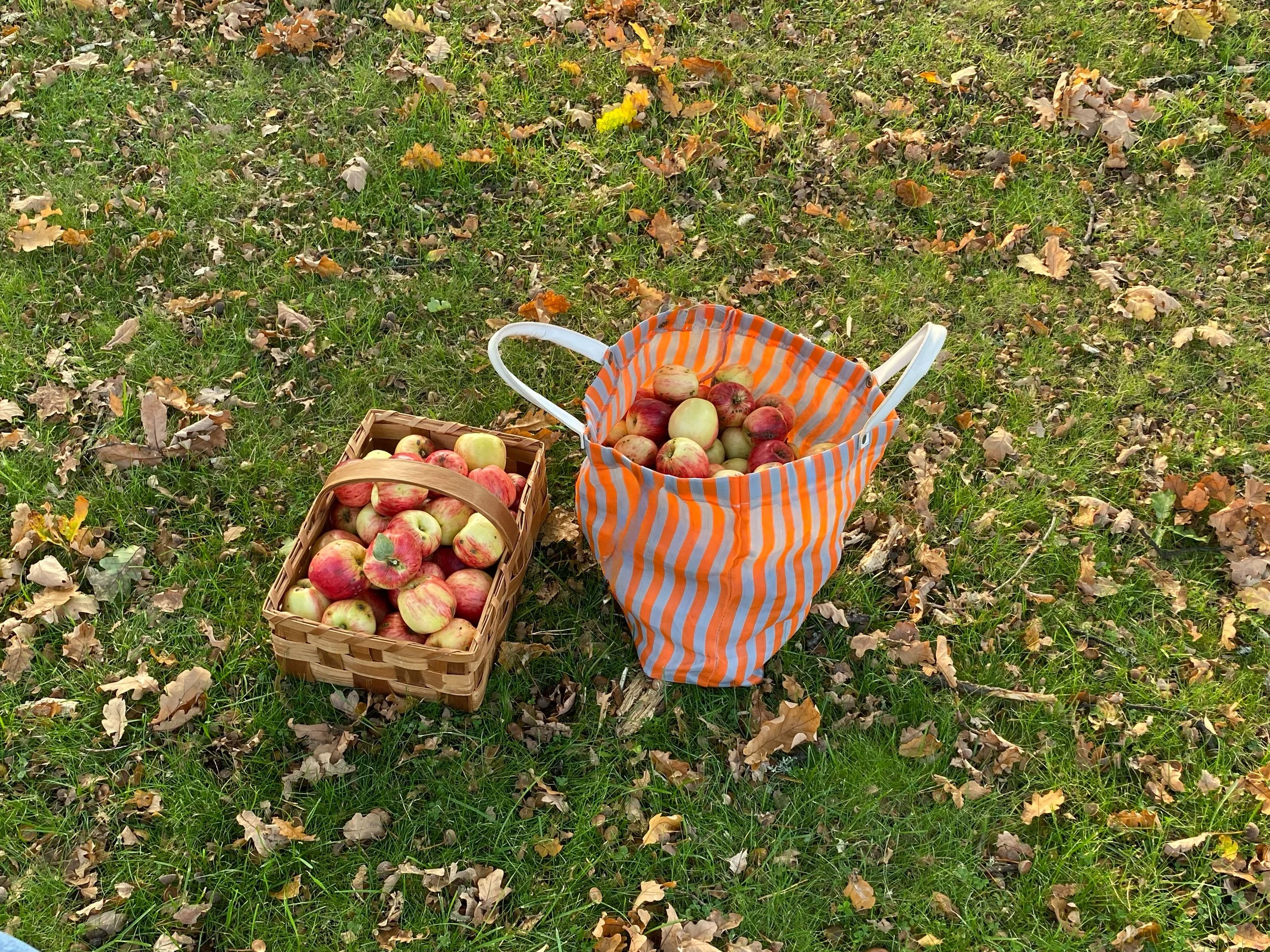 Sylt, saft &amp; minnen (Food as a Common Thread)