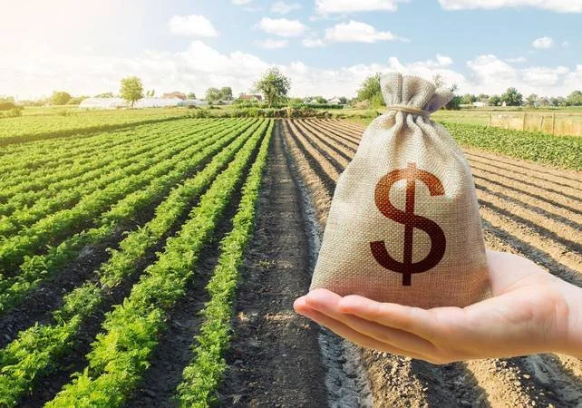 Alongamento da dívida rural: a nova Resolução do CMN acabou com o direito do produtor? 