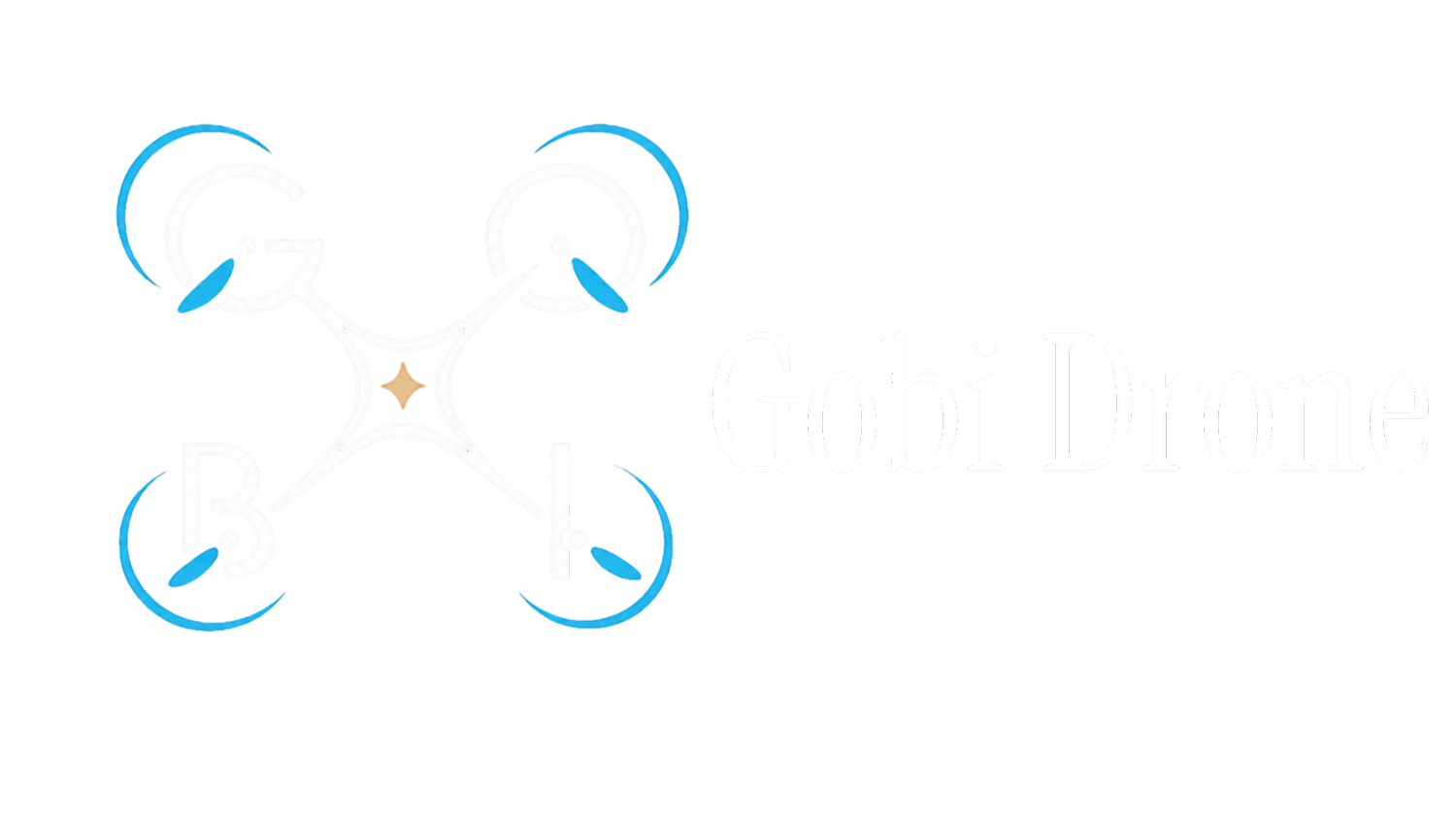 Gobi Drone