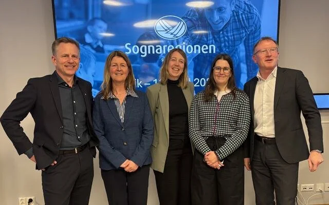 Sognatinget i Vik