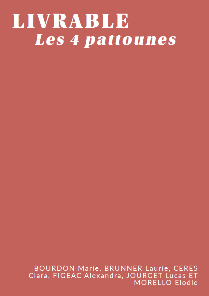Couverture d'un livre intitulé "LIVRABLE Les 4 pattounes" .