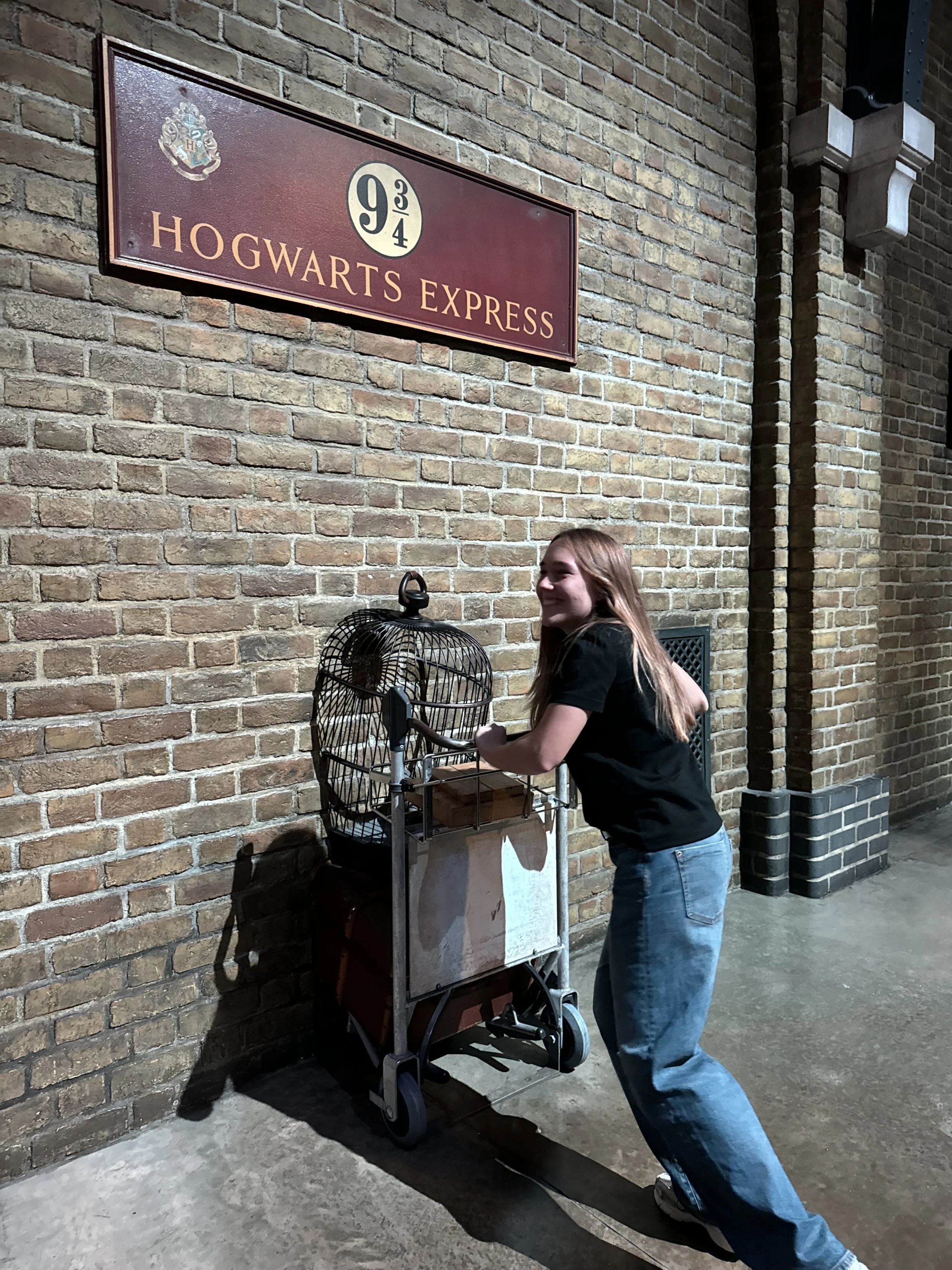 Une jeune femme avec des cheveux longs, portant un t-shirt noir et un jean, pousse une charrette du film Happy Potter.