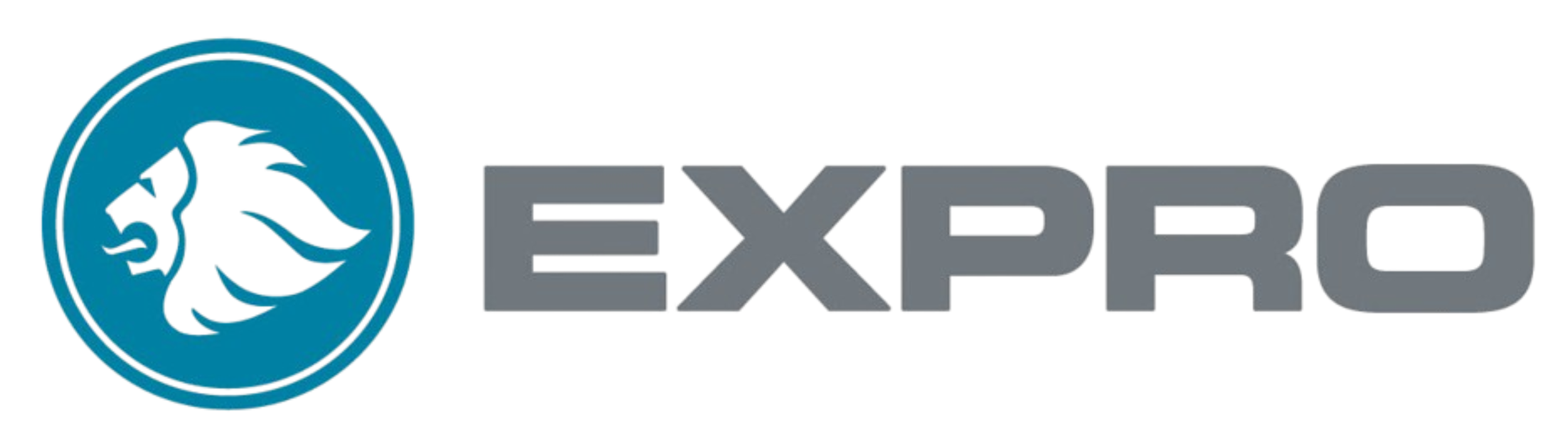 Logo of EXPIO, consisting of a stylized blue fish symbol inside a blue circle, with the text "EXPIO" in bold gray letters to the right.