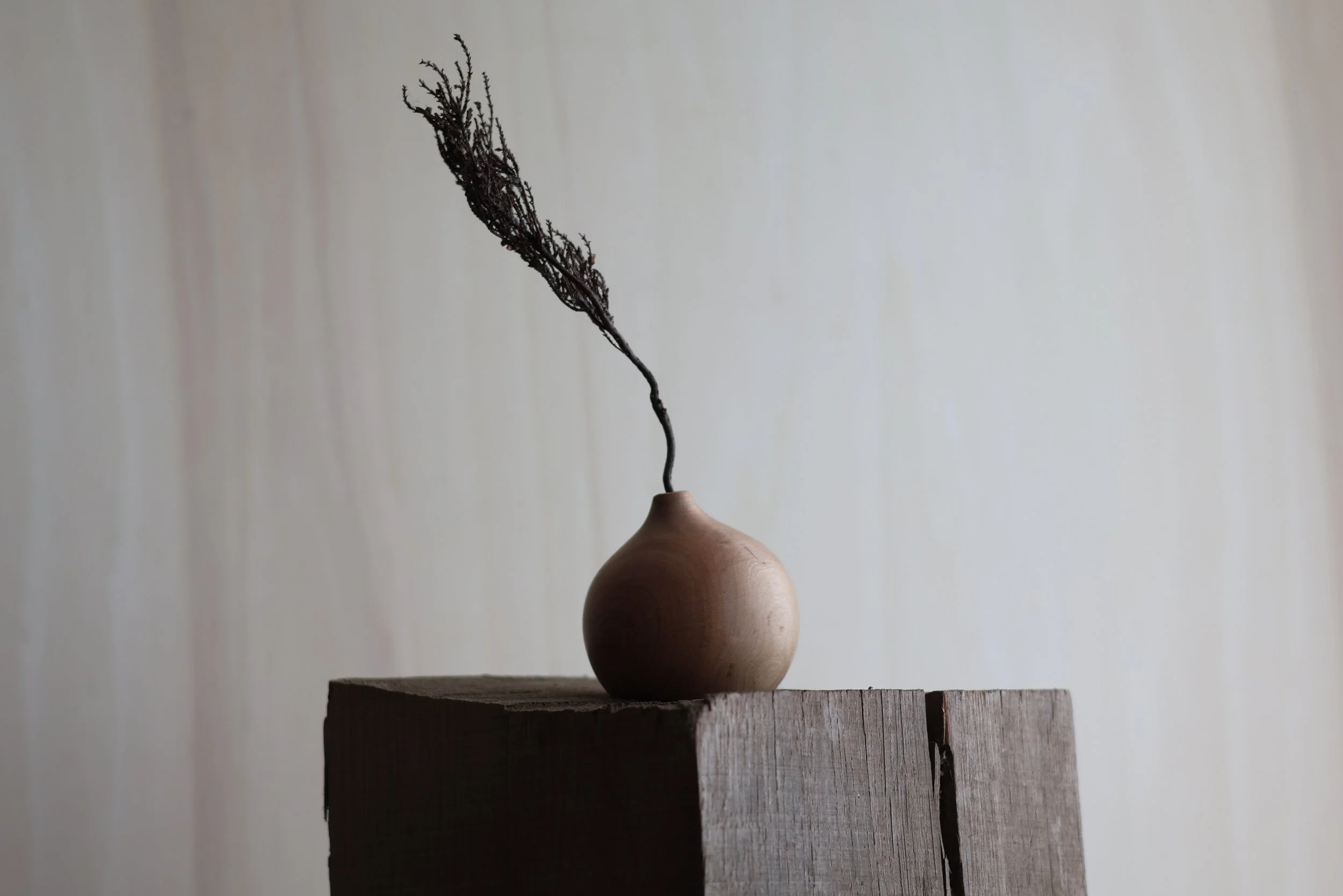Leaning Cherry Bud Vase