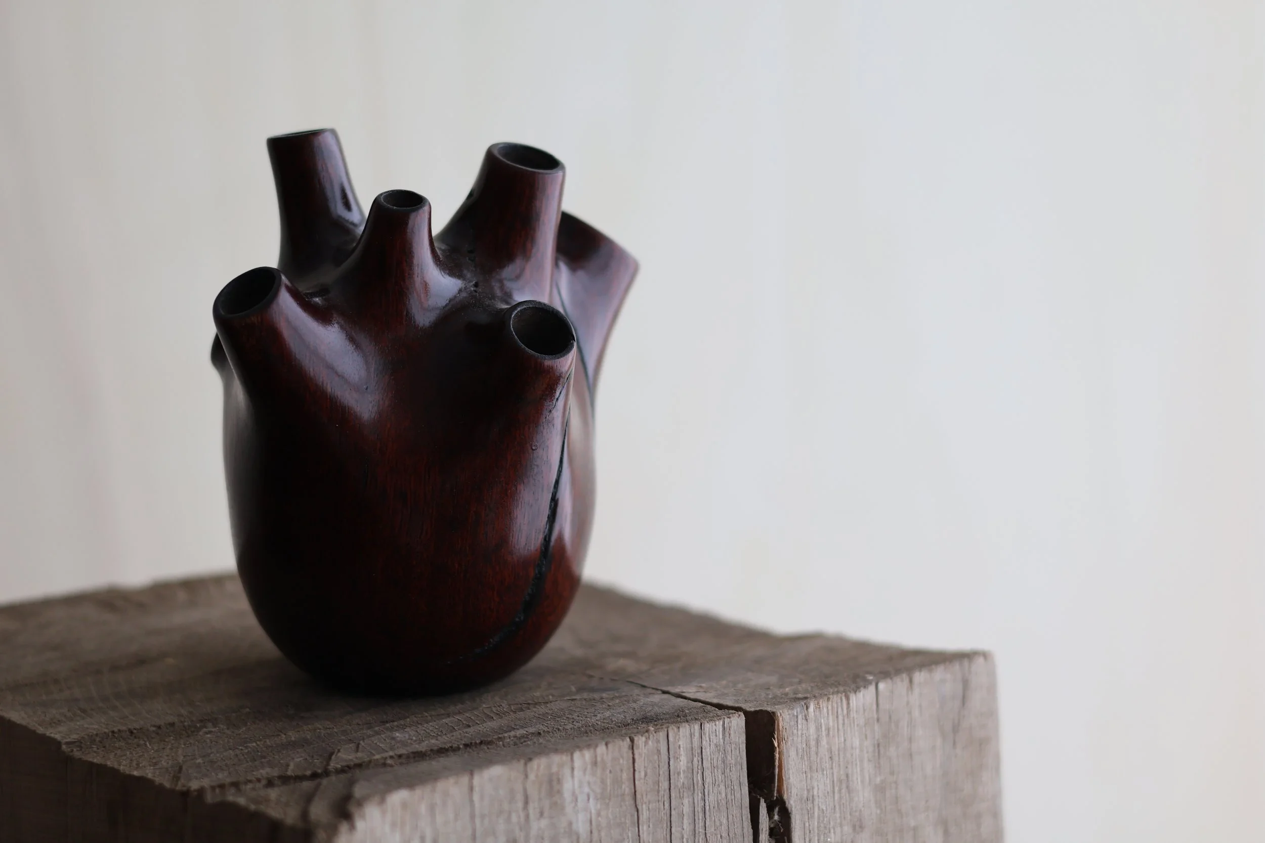Jarrah 'Heart'