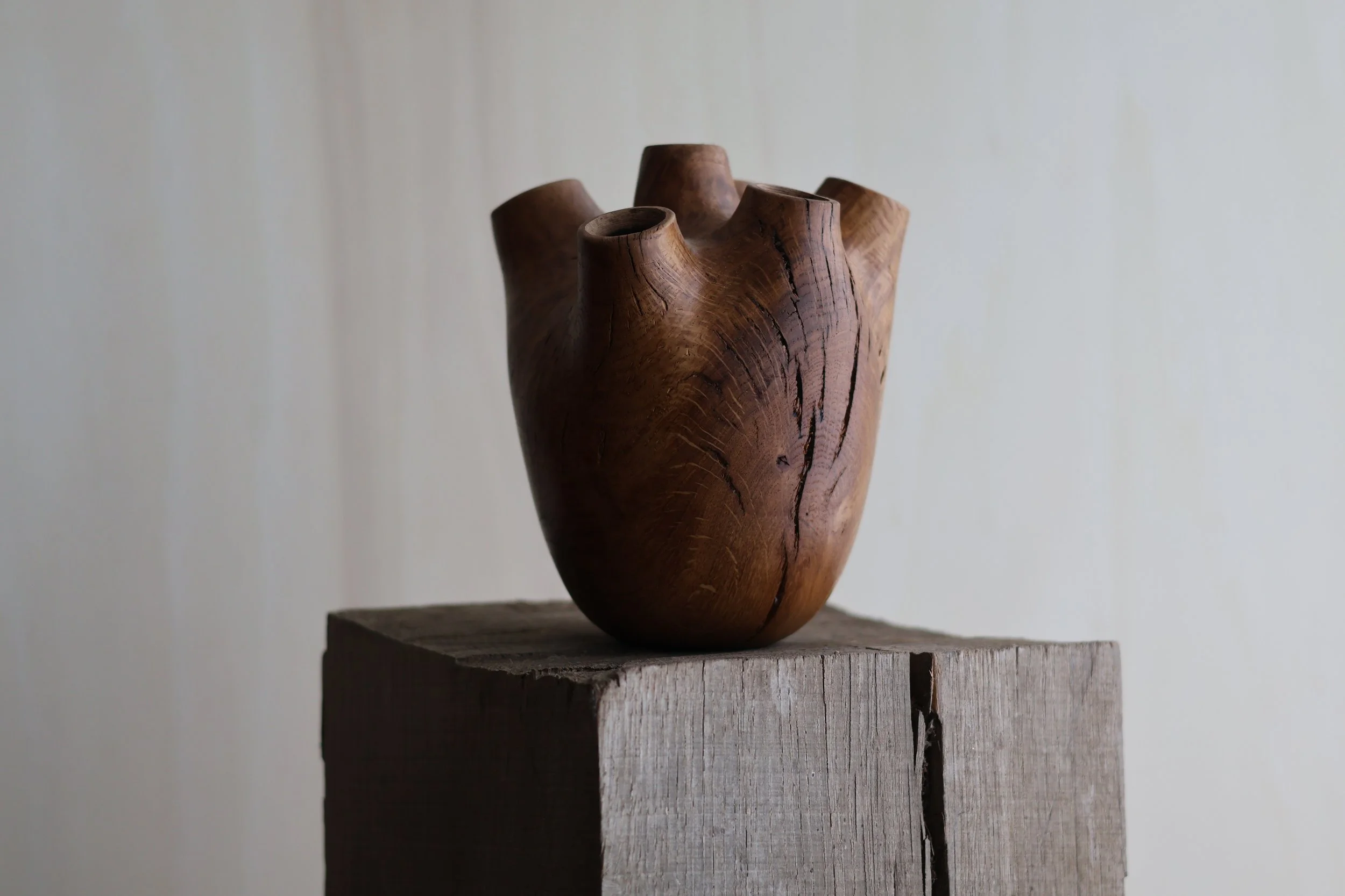 Oak 'Heart'