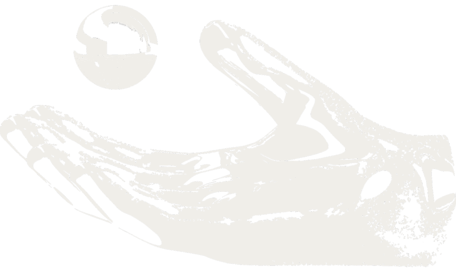 Indigo World Foundation