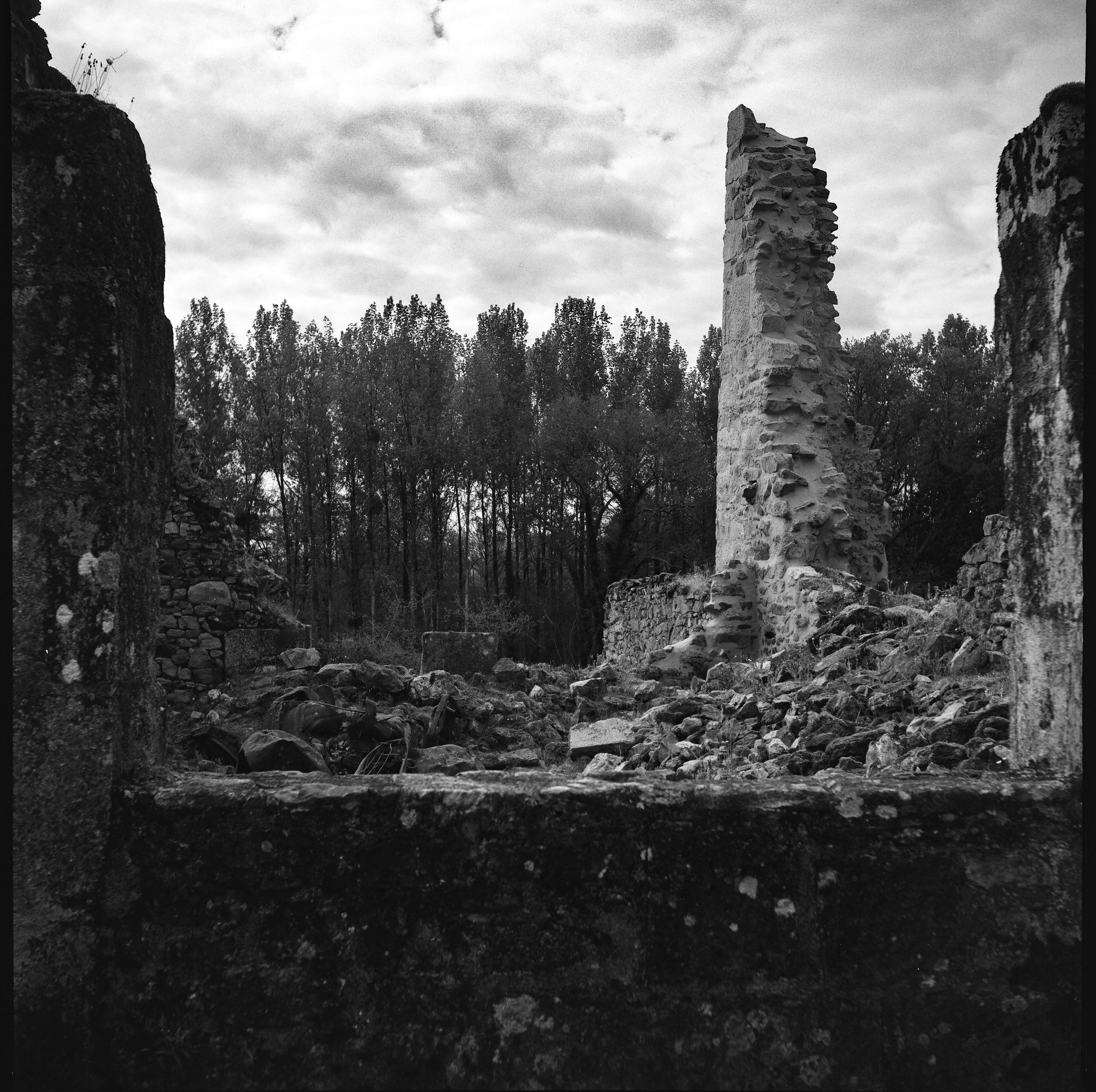 tree line, martyr village, oradour-sur-glane (2026)