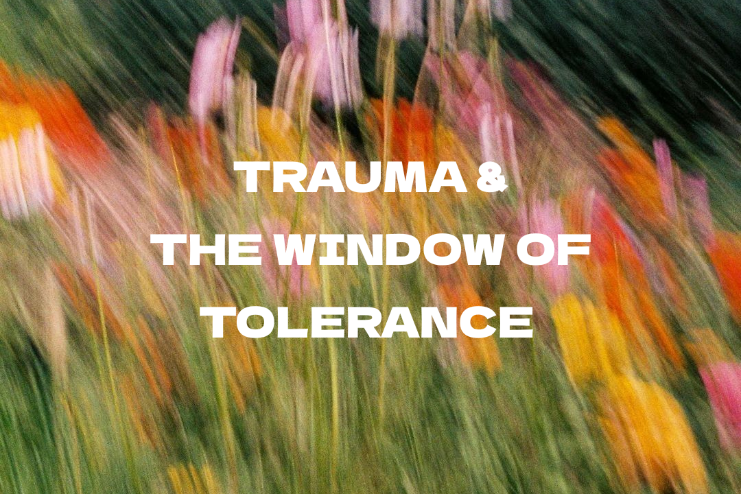 Trauma &amp; the window of tolerance 