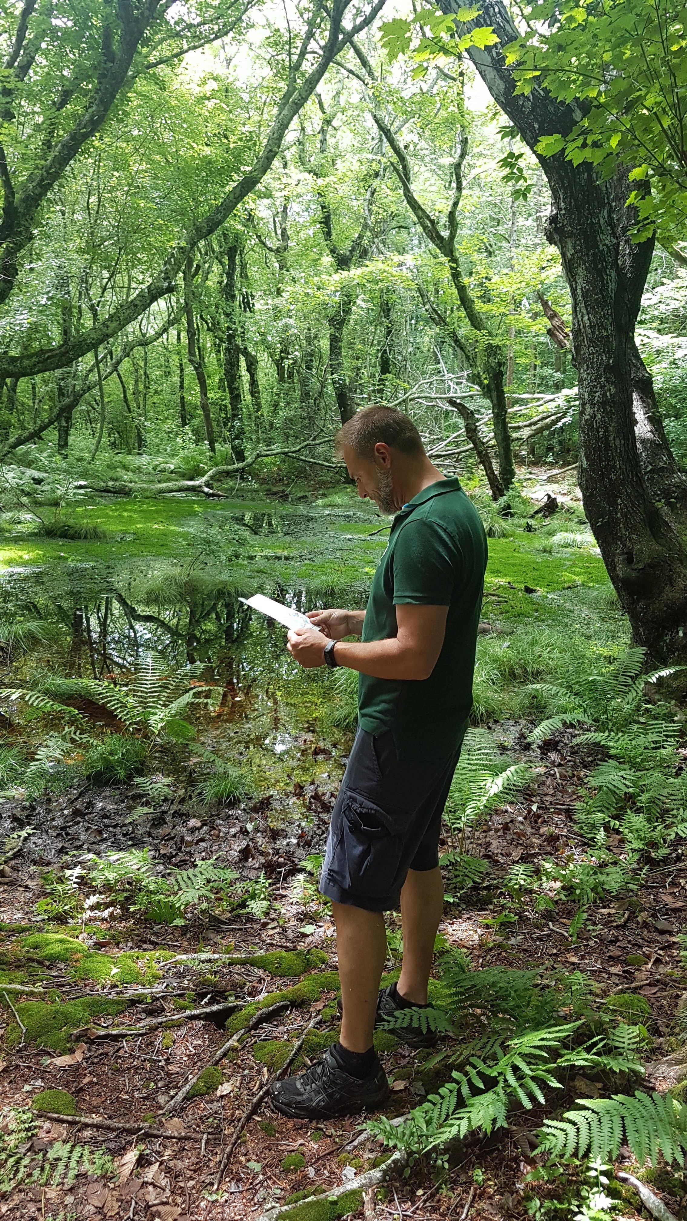 A man standing in a lush green forest near a small pond, looking at a device in his hands, surrounded by trees and ferns.