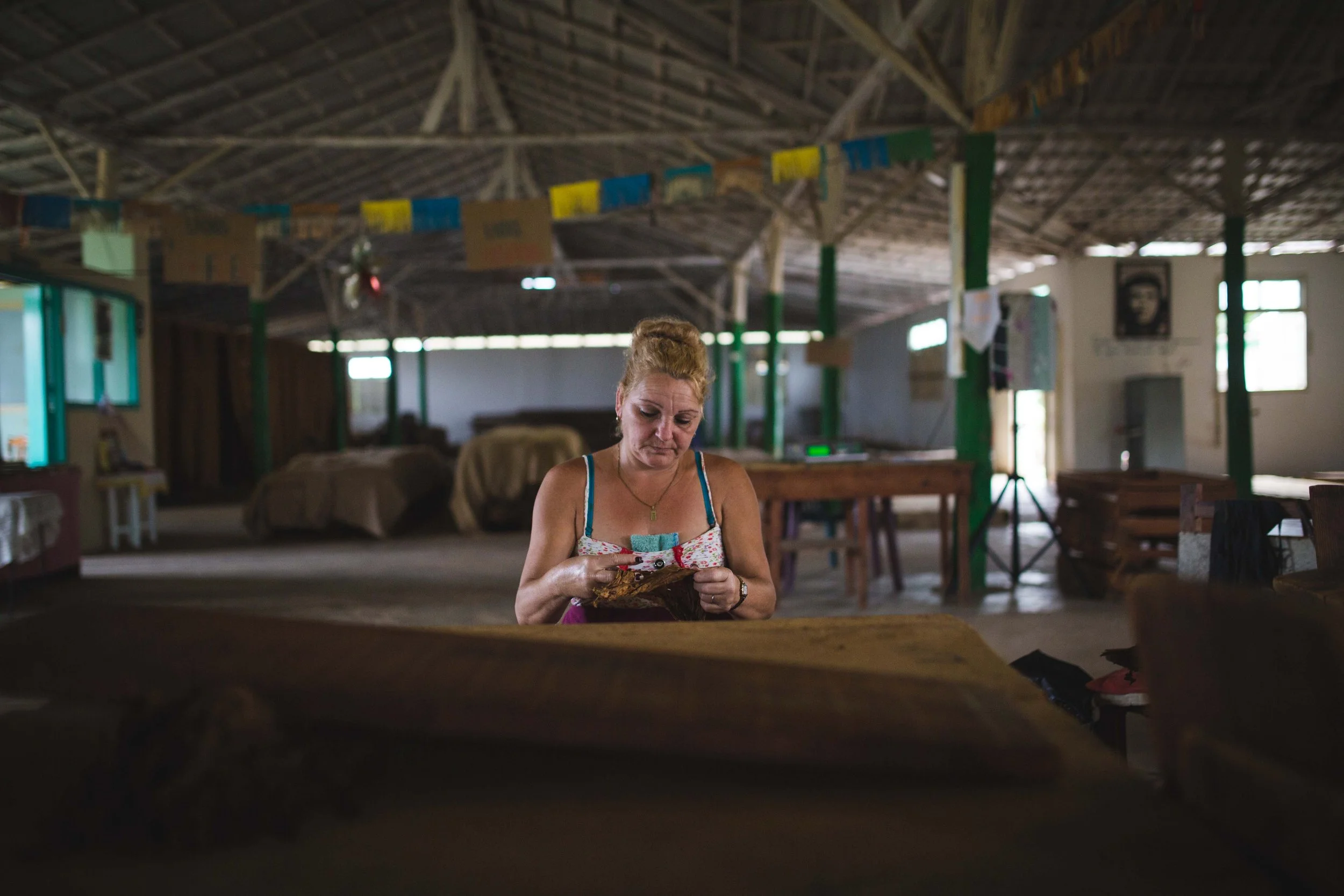 Tabaco-Vinales-9580.jpg