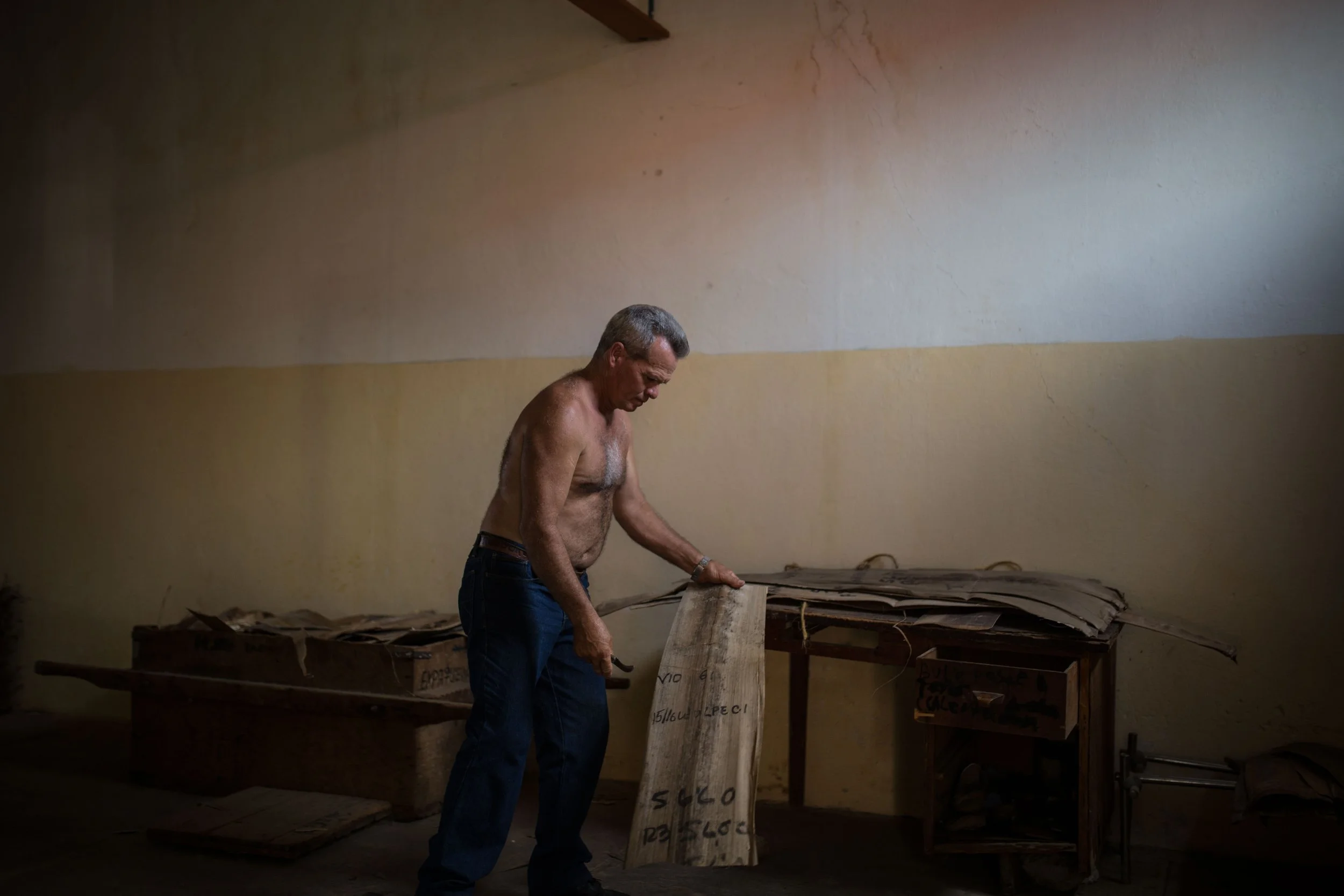 Tabaco-Vinales-9589.jpg