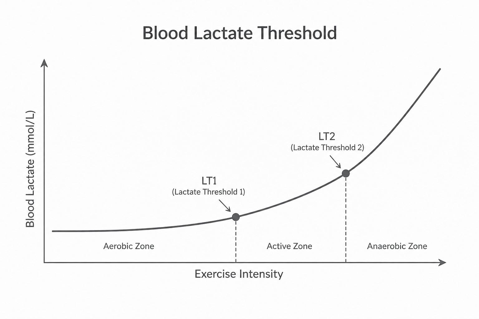 Line graph titled 'Blood Lactate Threshold' showing blood lactate levels on the y-axis and exercise intensity on the x-axis, with zones labeled aerobic, active, and anaerobic. Two points marked LT1 and LT2 representing lactate thresholds 1 and 2.