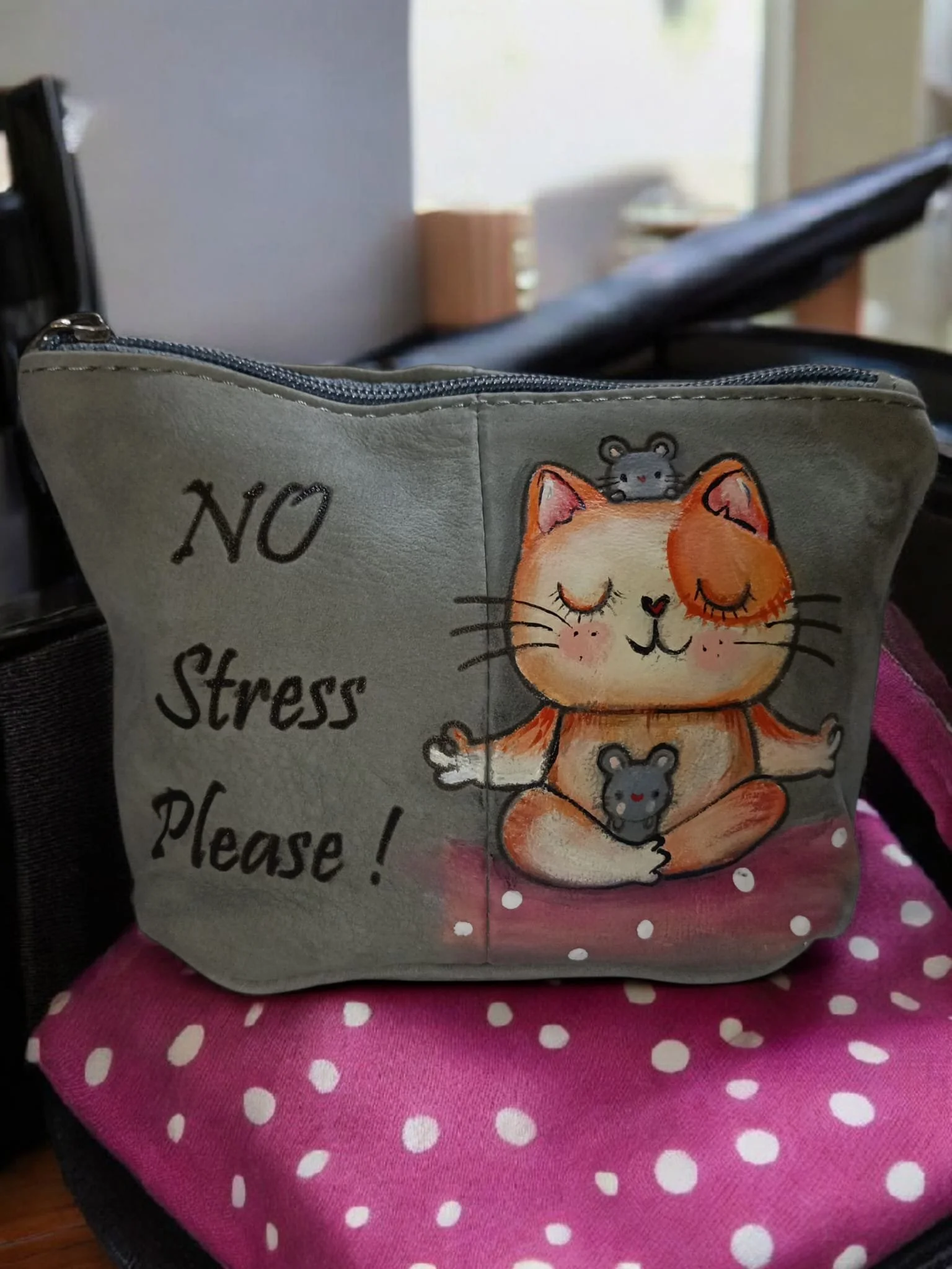Una pochette con un disegno di un gatto con gli occhi chiusi, la scritta 'No Stress Please!' e un topo sulla testa del gatto. La pochette è posta su un paio di pantaloni rosa con punti bianchi.