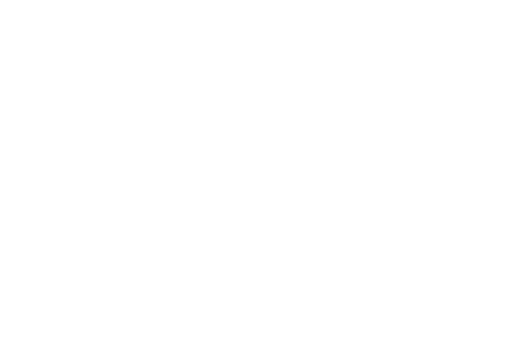 Text on a black background that says "Using BlueBean" with an icon of a mobile phone below the text.