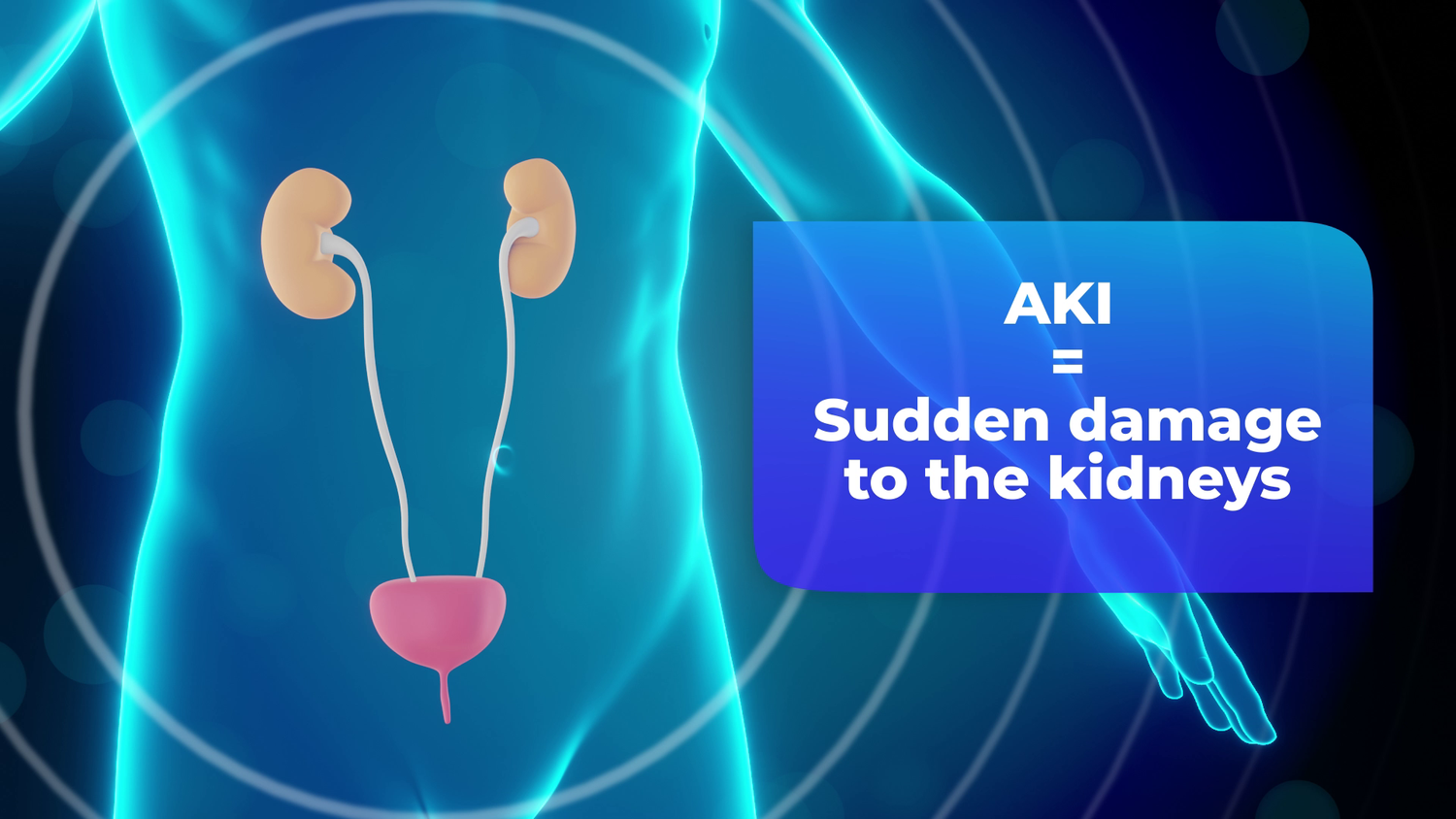 CKD_06.webp