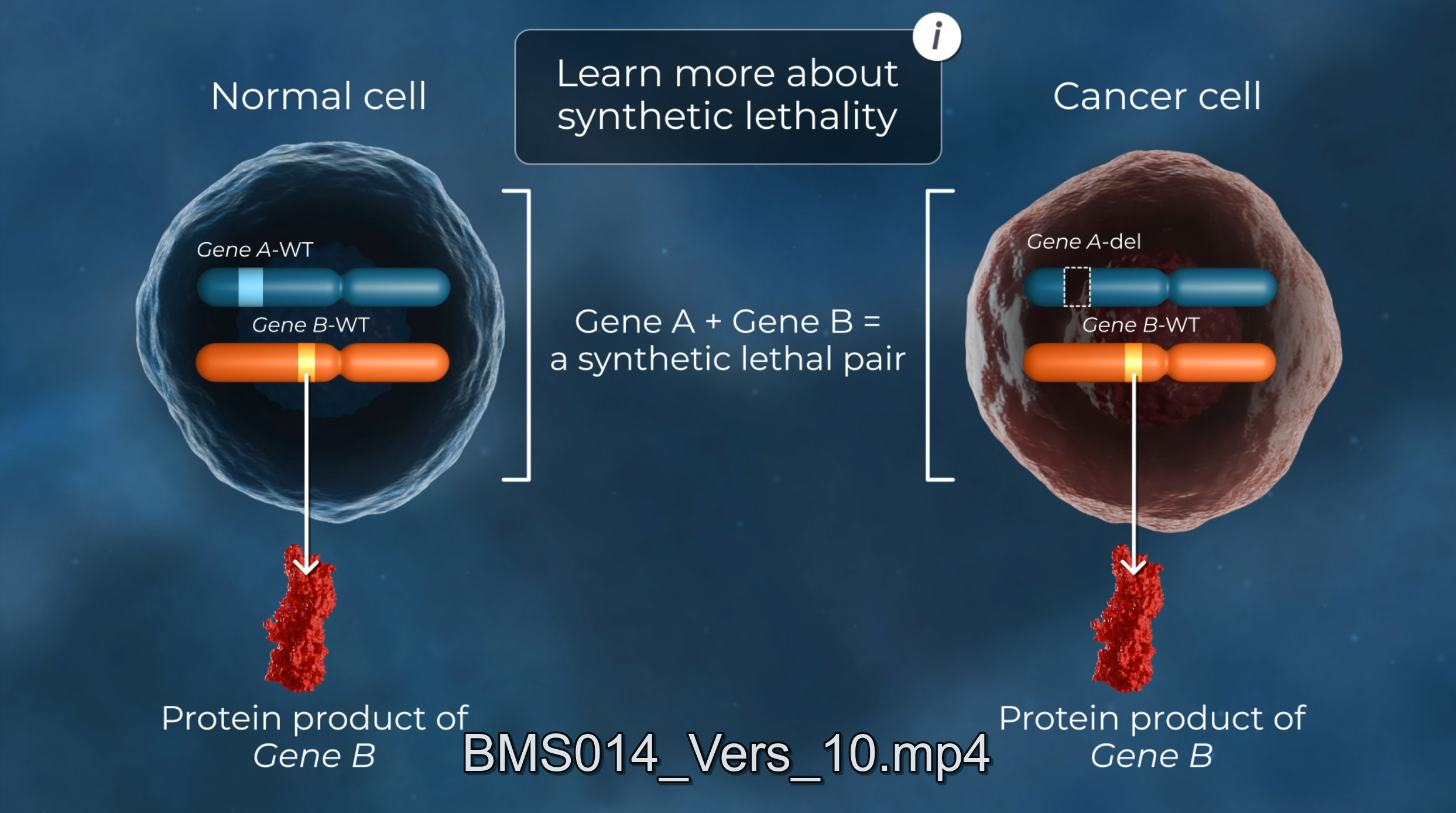 BMS_MOA_07.png