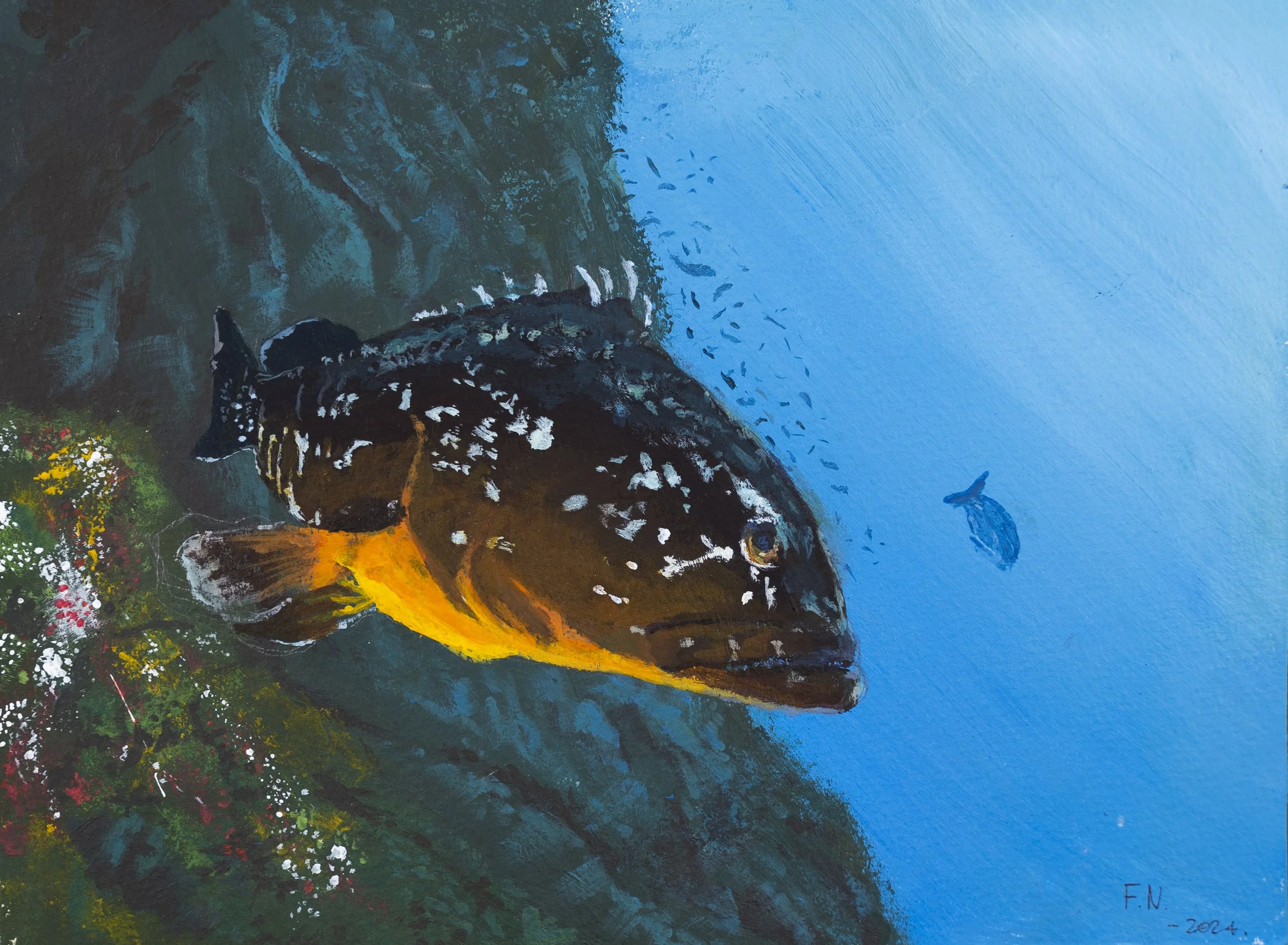 Portfolio Pittura Tradizionale