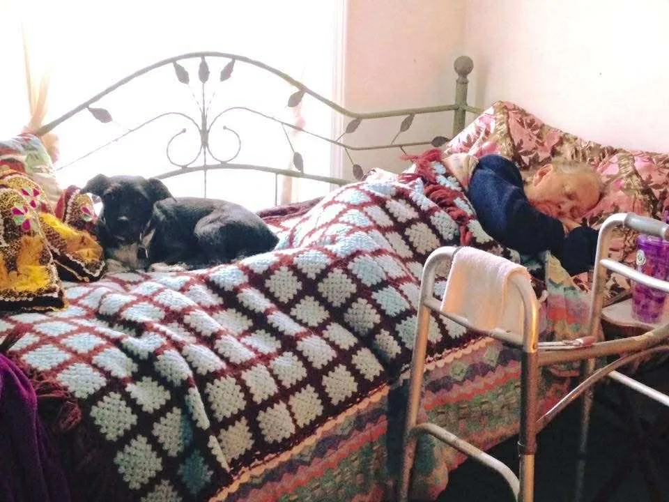 An elderly person sleeping in bed with a small black dog lying beside them. The bed has a decorative quilt and pillow, with a metal headboard, a walker in front of the bed, and some items on a bedside table.