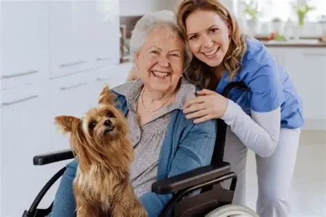 Pet Care Assistance
