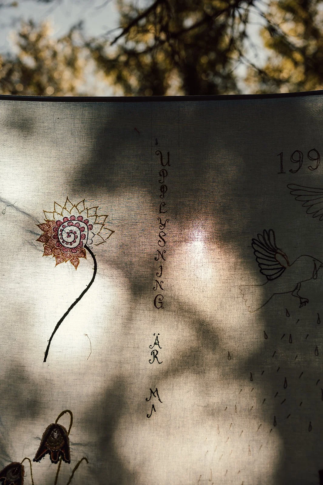 cicci-78.jpg