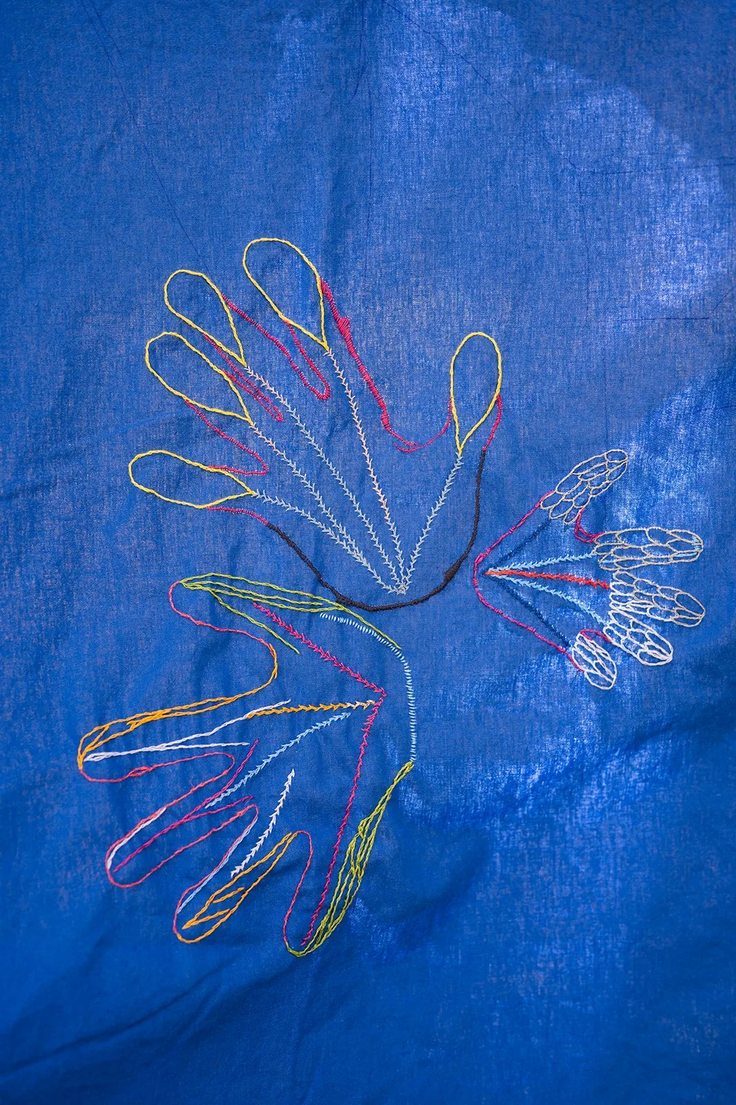 cicci-84.jpg