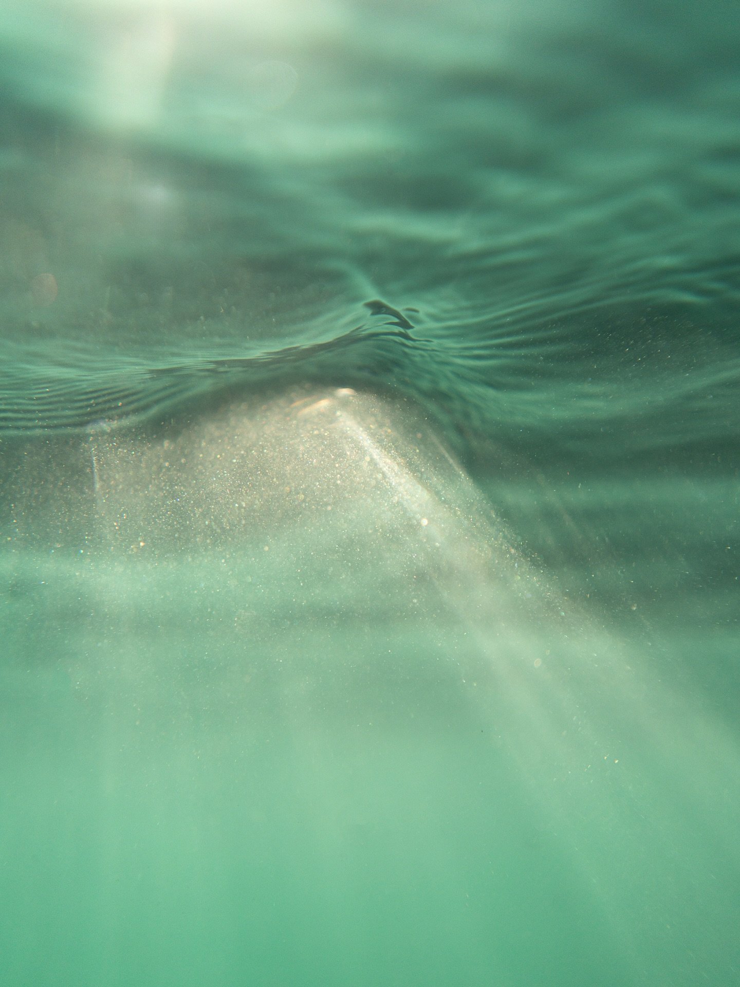 🌅 With my final hand in drawing near I thought I&rsquo;d share one last image with you all from my stress induced tic project &ldquo;In Light of It All&rdquo; without giving too much away!

🌊 This image is fitting for the title of the project becau