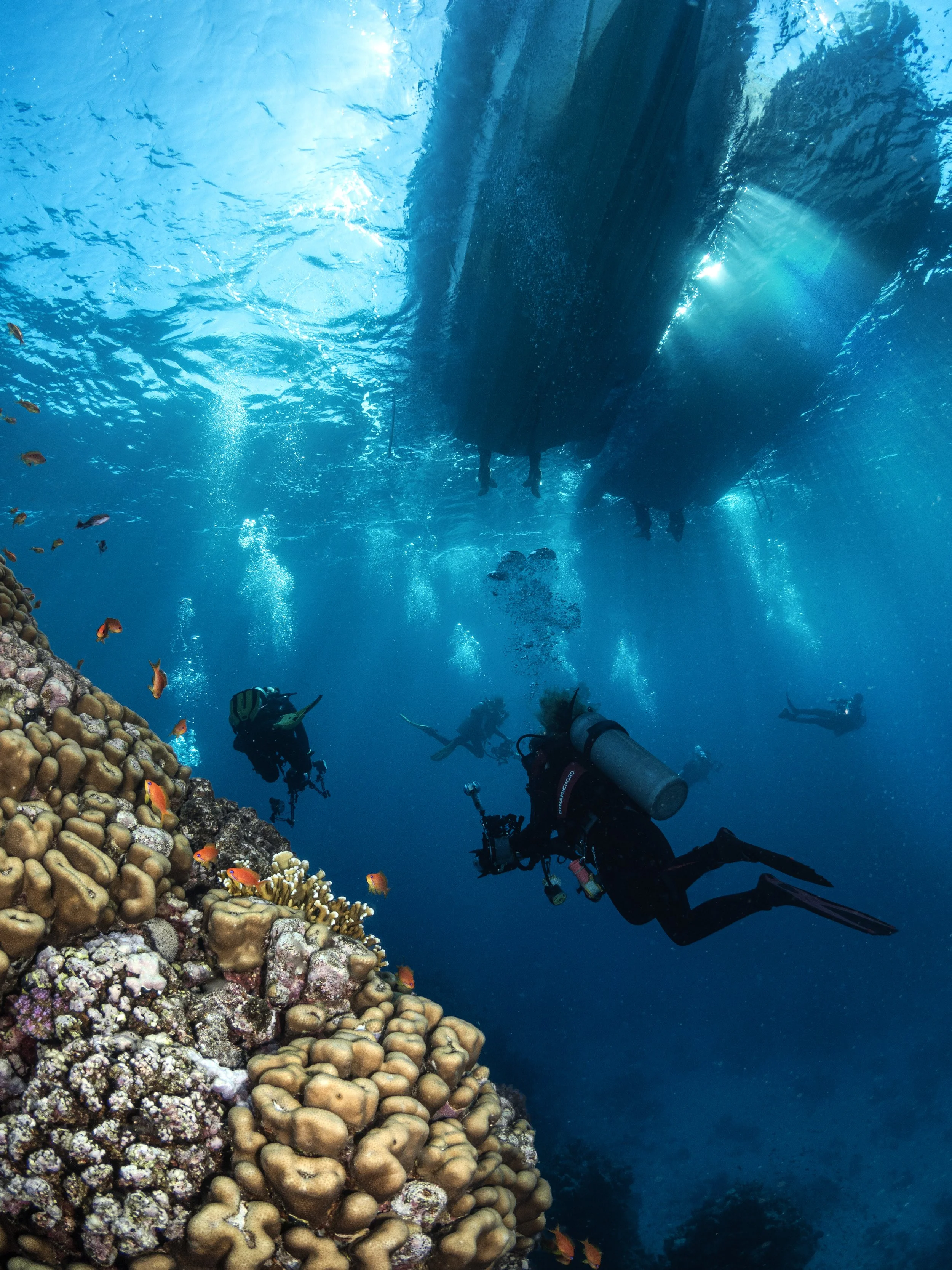 Falmouth University - Marsa Alam, Egypt