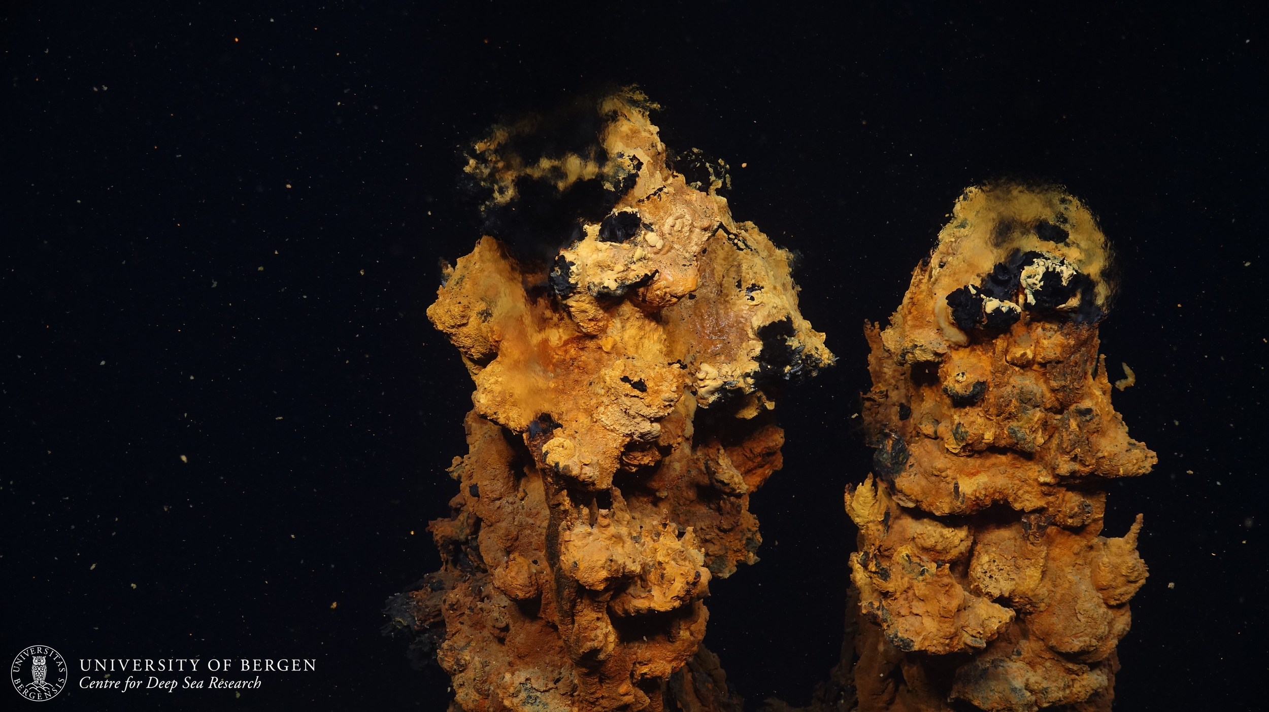 Underwater scene featuring two large, orange-colored hydrothermal chimneys, set against a black background.