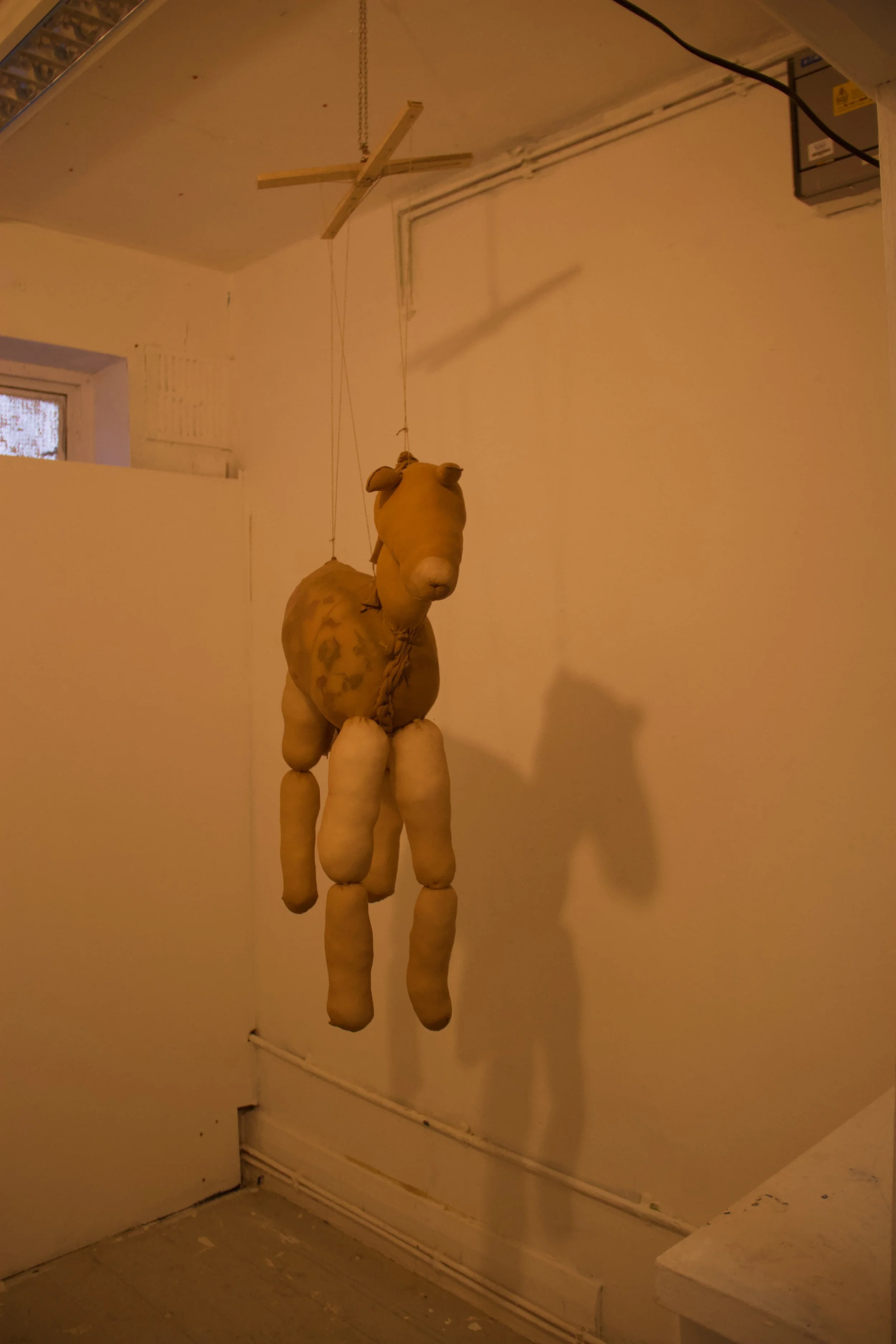 LIttle Foal

Nylon mesh, polyester stuffing, dried flowers

Approx. 60x50cm

50x50x50, The Swan

2026