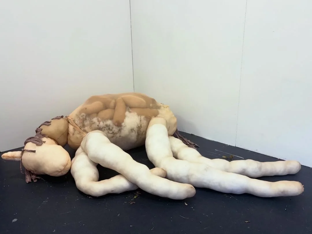 A Horse with No Face, 

Nylon mesh, polyester stuffing, dried flowers

Approx. 150x150cm 

2026
