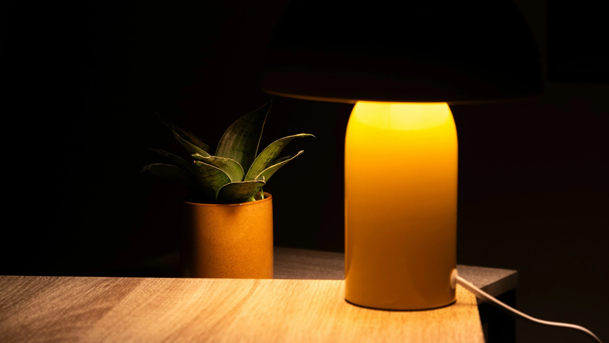 Potted plant beside a lit yellow lamp on a wooden surface in a dark room.