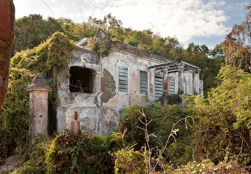 An abandoned, deteriorating house on a hillside, surrounded by overgrown vegetation.