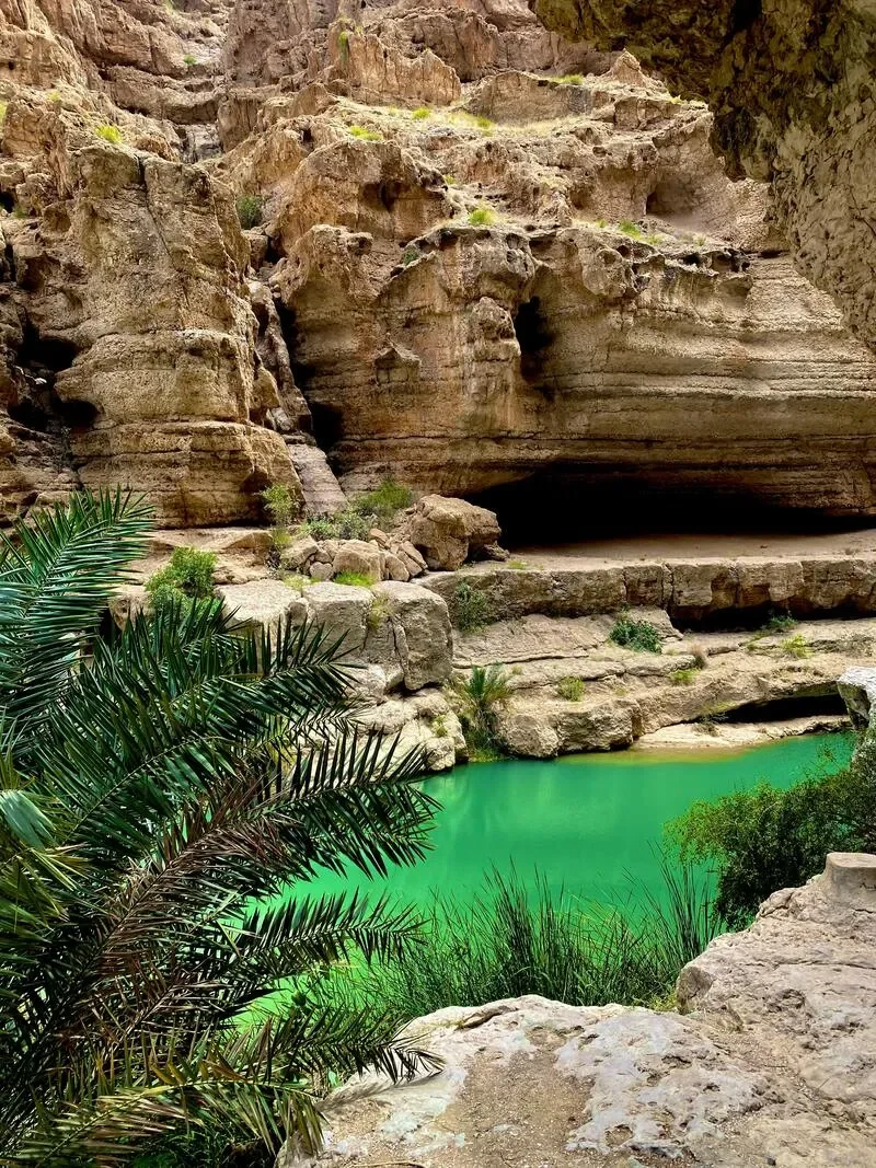 A desert canyon with rugged stone cliffs and a small green pool of water at the bottom, surrounded by sparse green vegetation and a palm plant in the foreground.