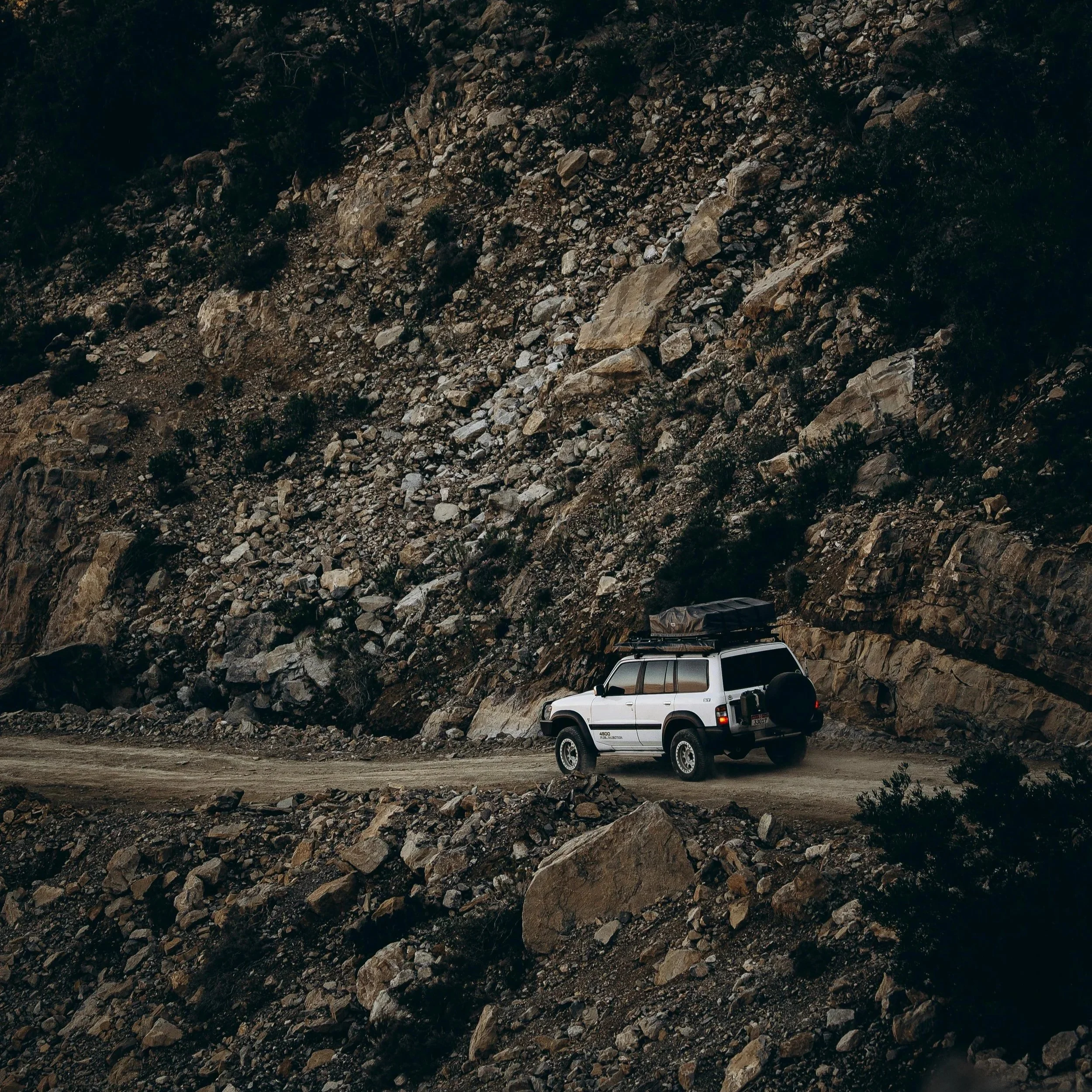 mountain safari.jpg