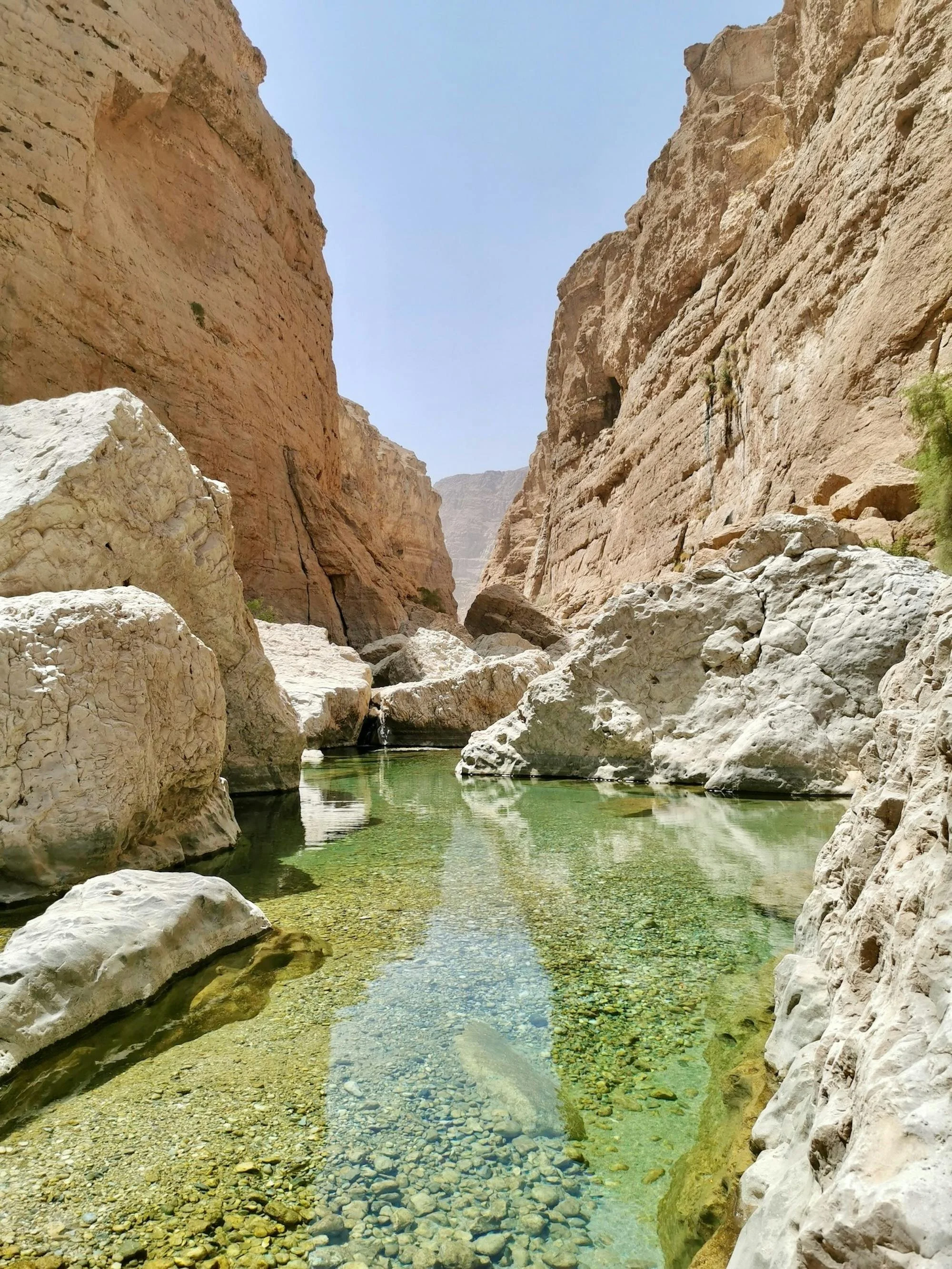 wadi oman.jpg
