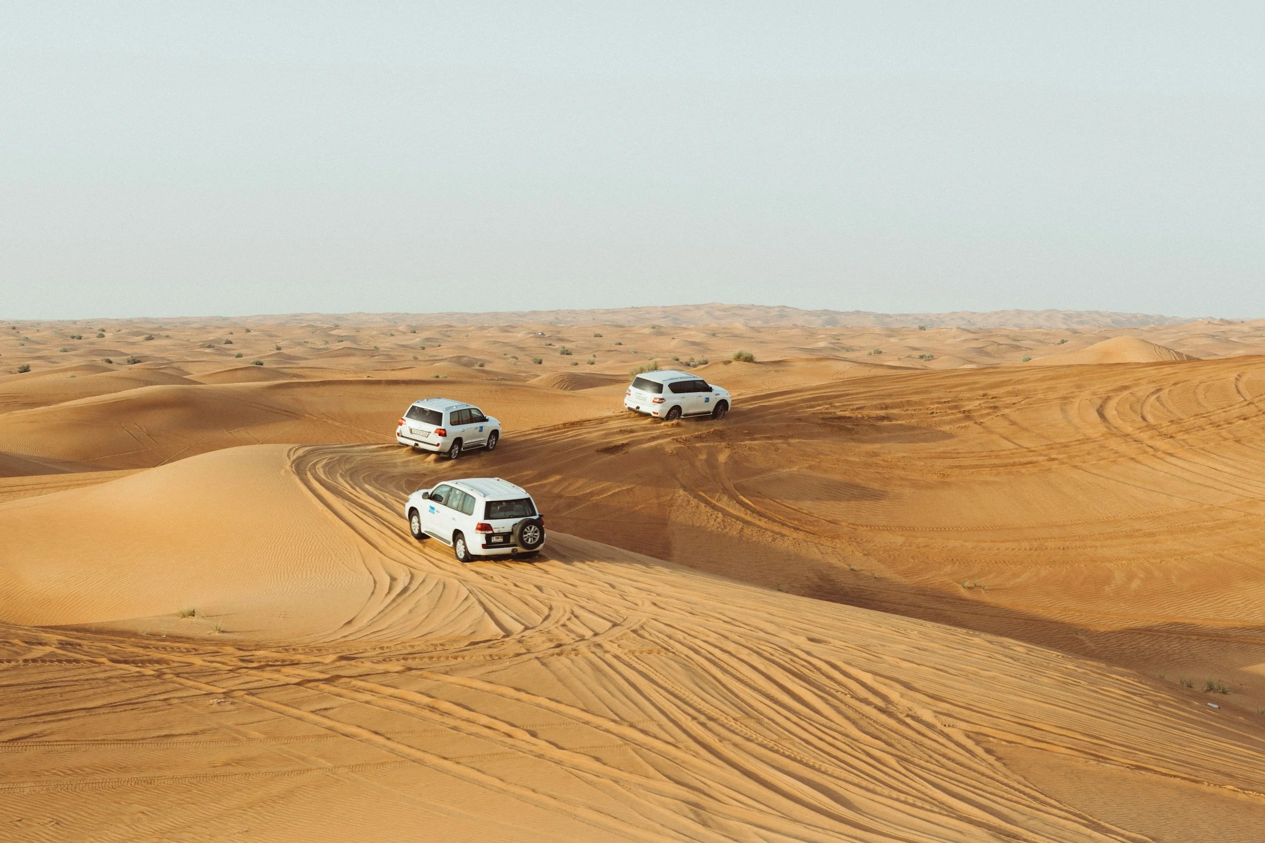 desert safari.jpg