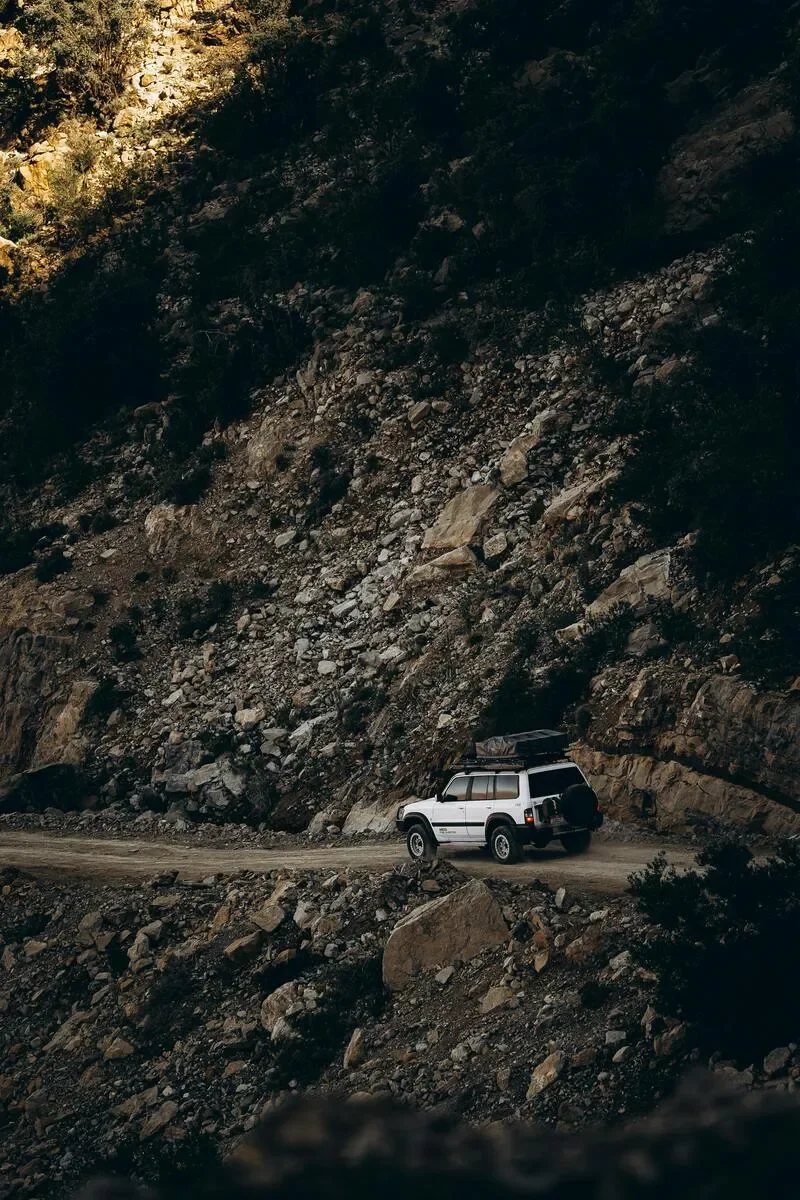 Mountain Safari