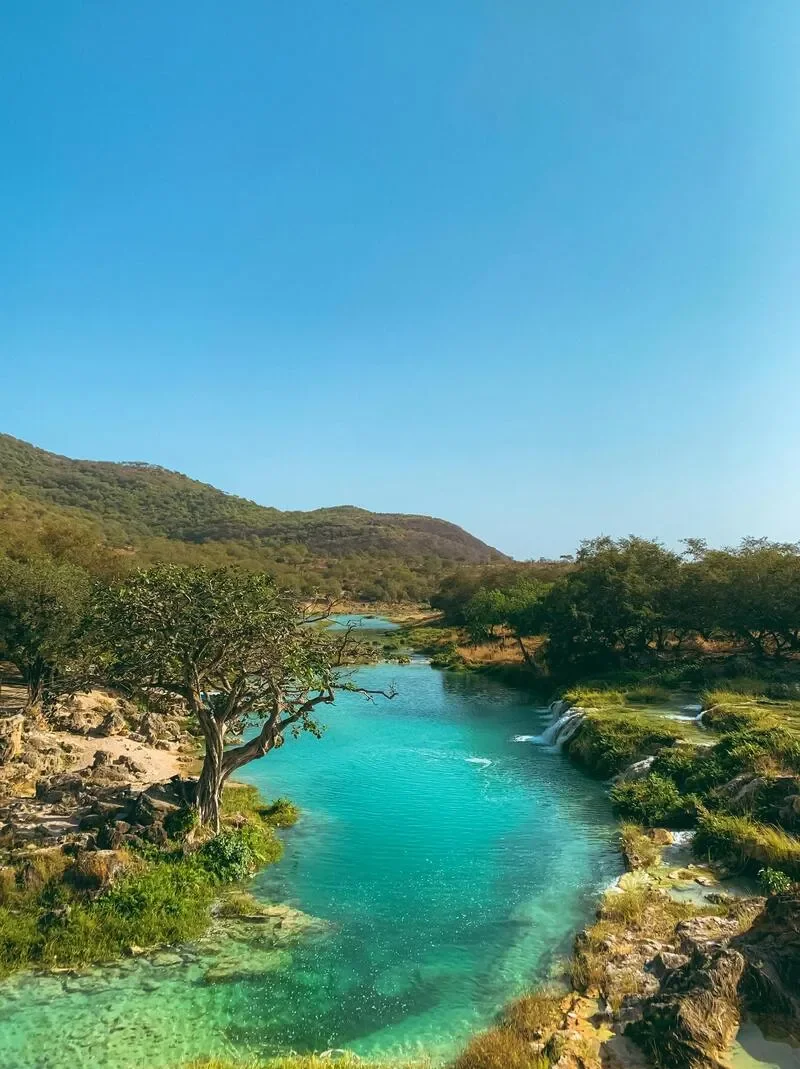 A clear blue river flowing through a lush green landscape with trees and small waterfalls under a blue sky.