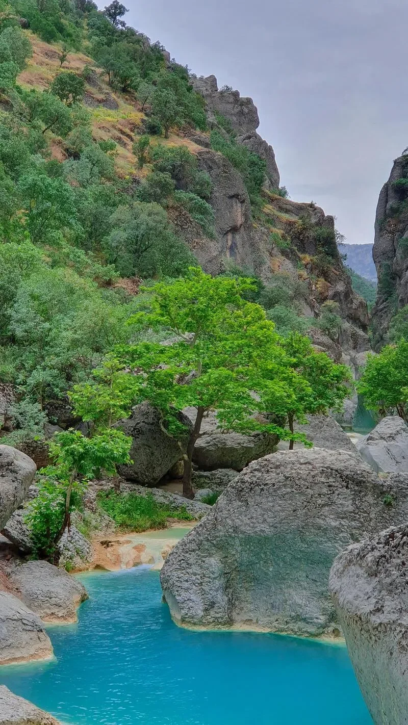 Wadi Hoqain