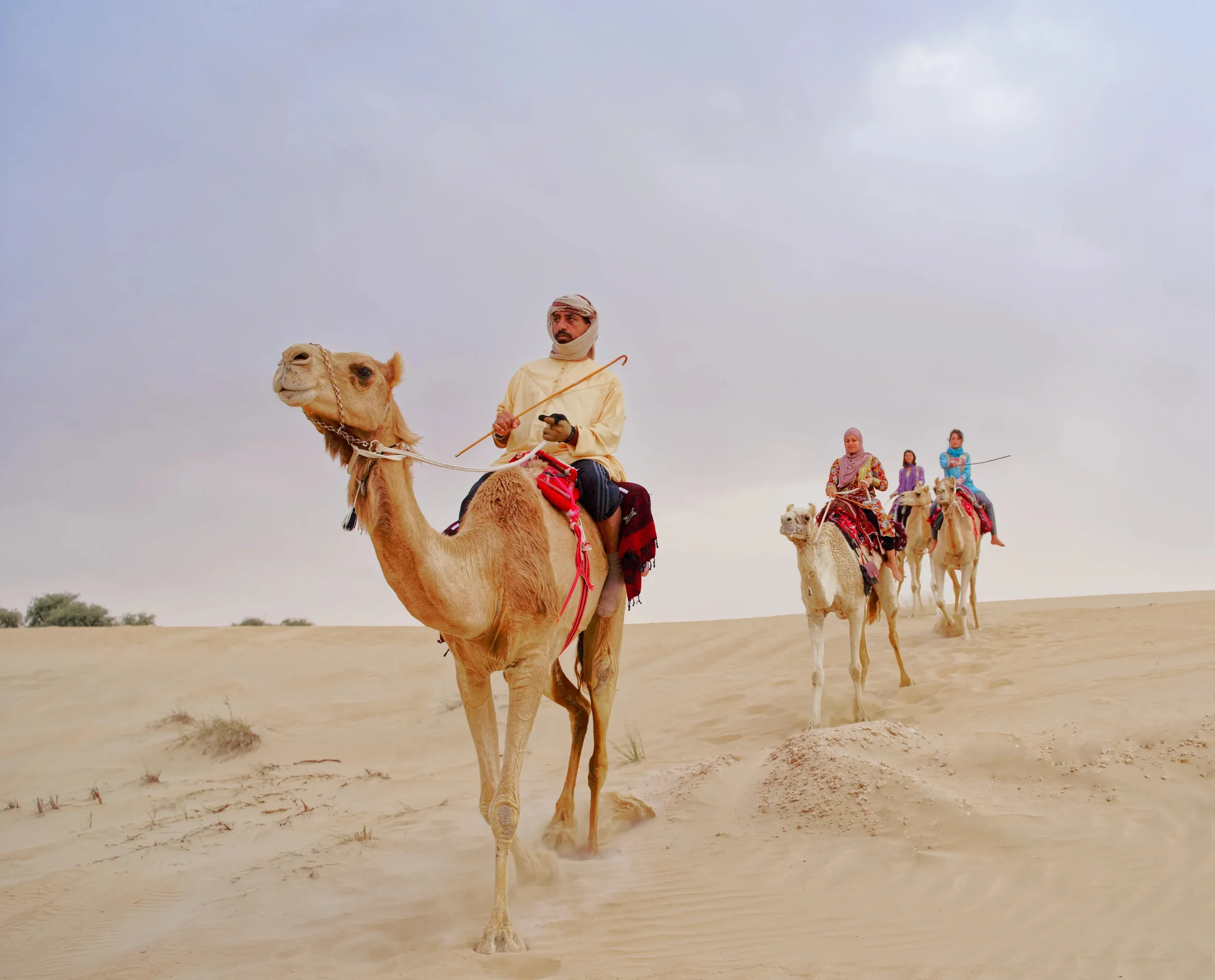 Camel and Horse Riding