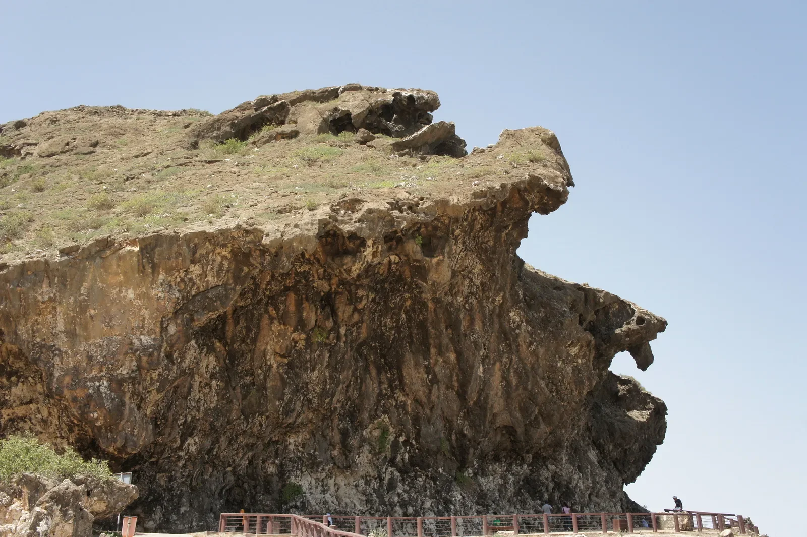 Mughsail Oman Dhofar (1).webp