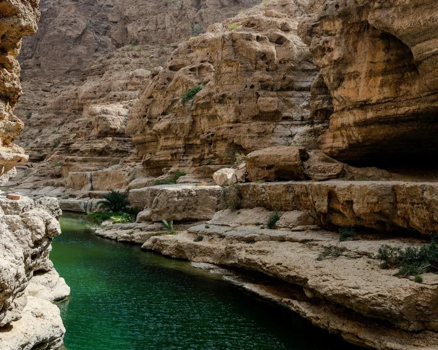 Wadi Adventures