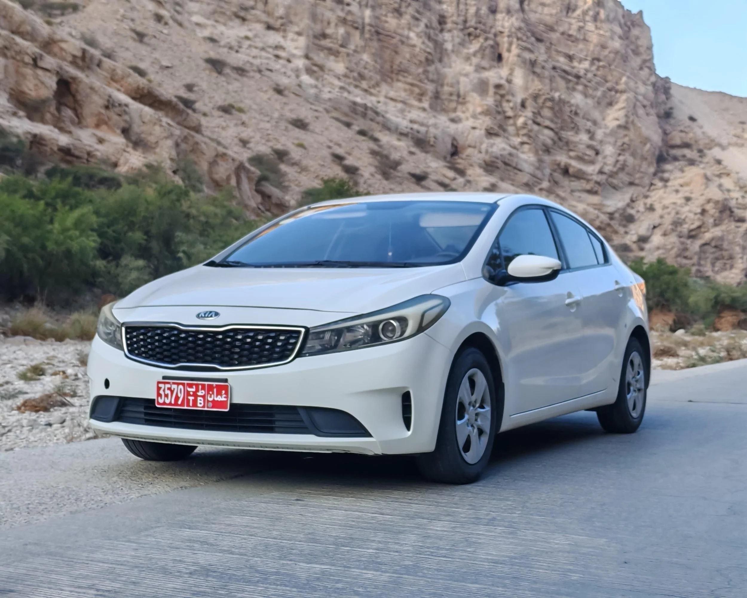 Cerato.jpeg
