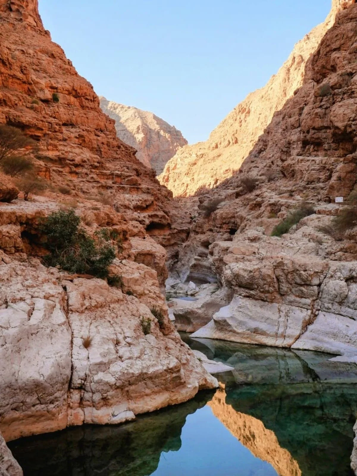 A canyon with reddish-brown and beige rock walls on either side, a dry riverbed with some greenery, and blue sky above.
