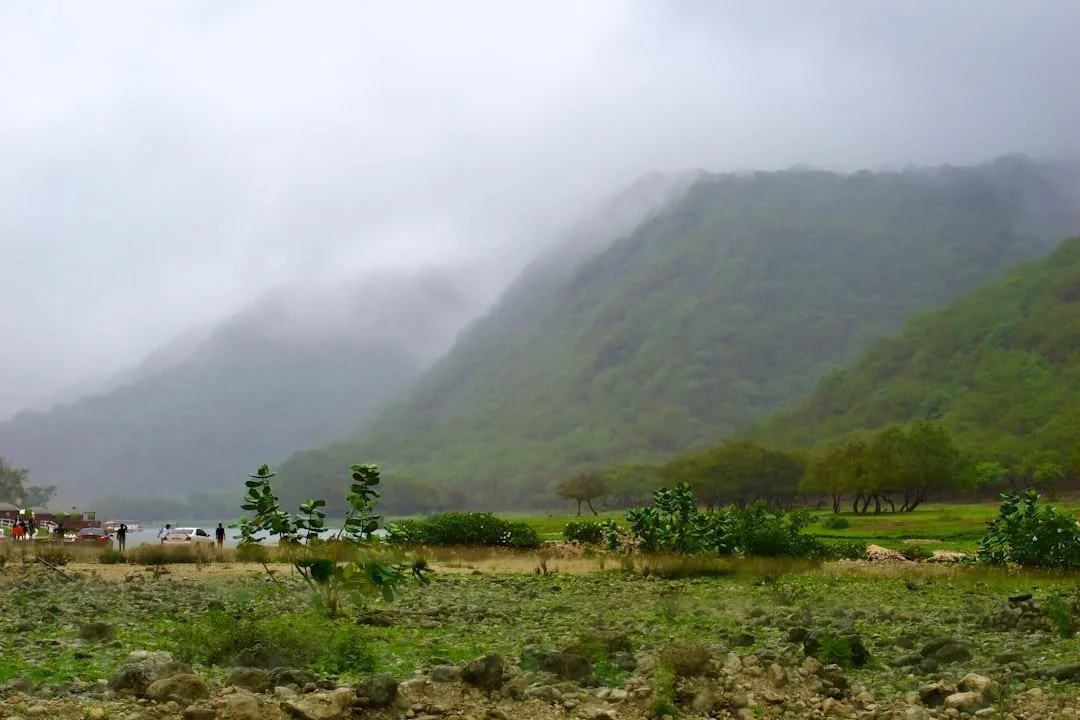 A misty green mountain with fog covering its top, a small grassy plain with a row of trees, and a parking lot with cars and people in the foreground.