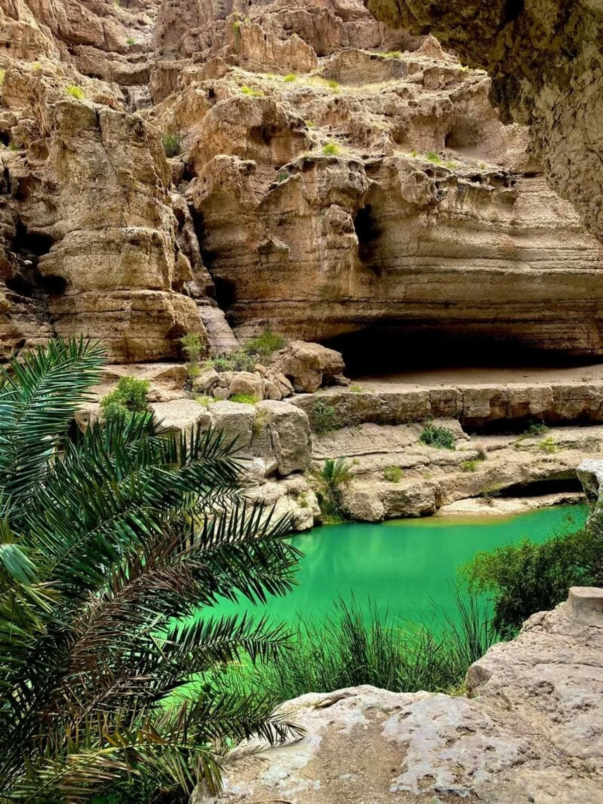 A desert canyon scene with large rock formations and a green water pool at the base, surrounded by desert vegetation.