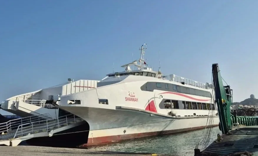 Large white yacht docked at a pier with safety railings and a blue sky background.