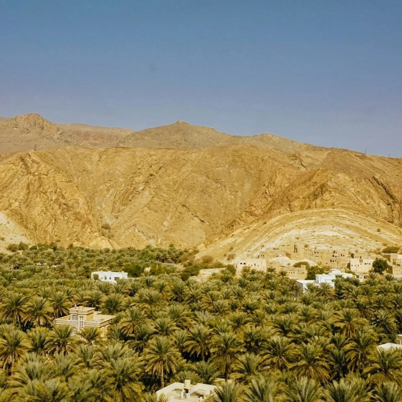 Desert landscape with arid, brown mountains, a green palm oasis in the foreground, and scattered beige buildings among palm trees.